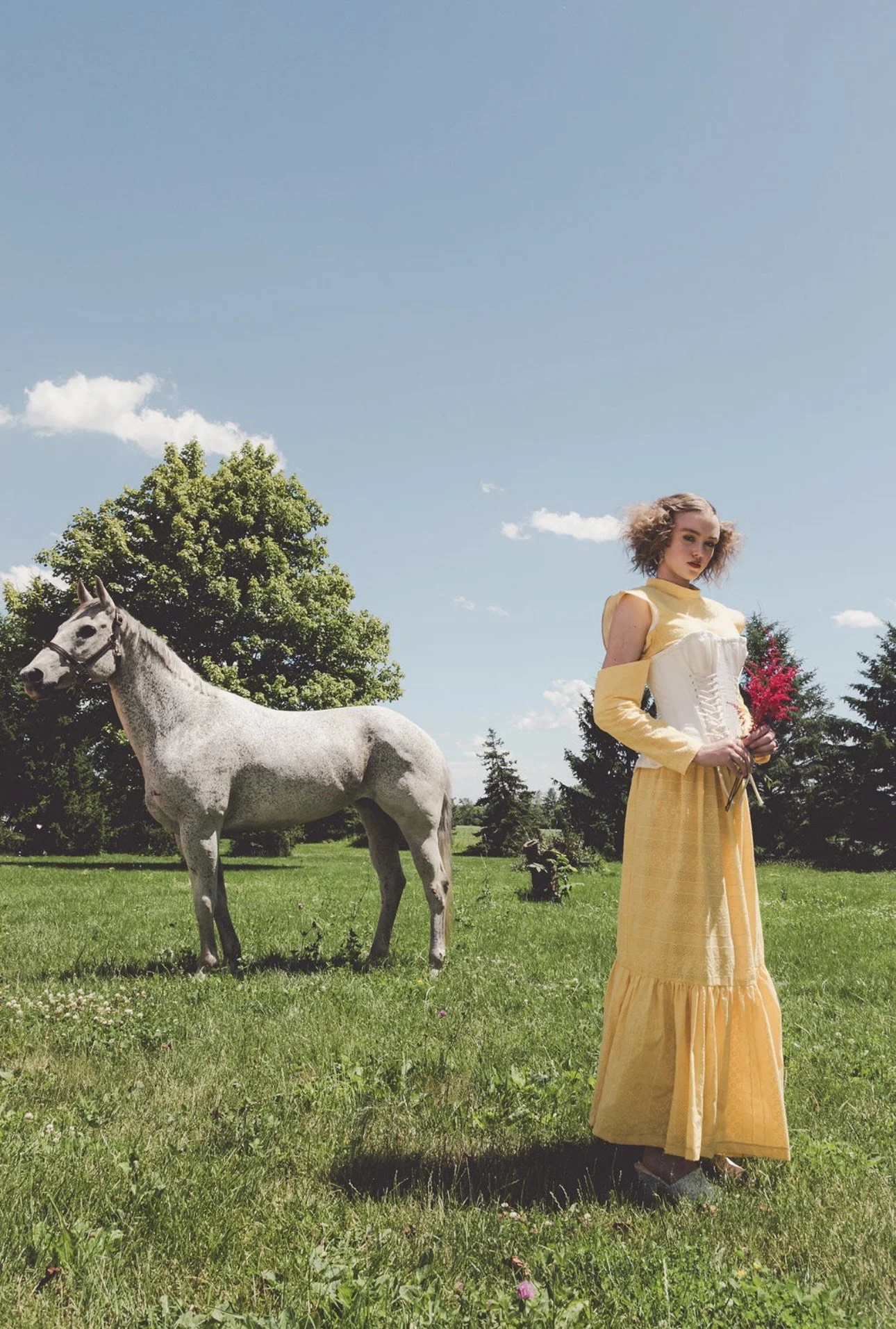 A woman in a yellow dress with a white corset accessory stands in a grassy field holding a flower, with a gray horse nearby and trees under a blue sky with a few clouds.