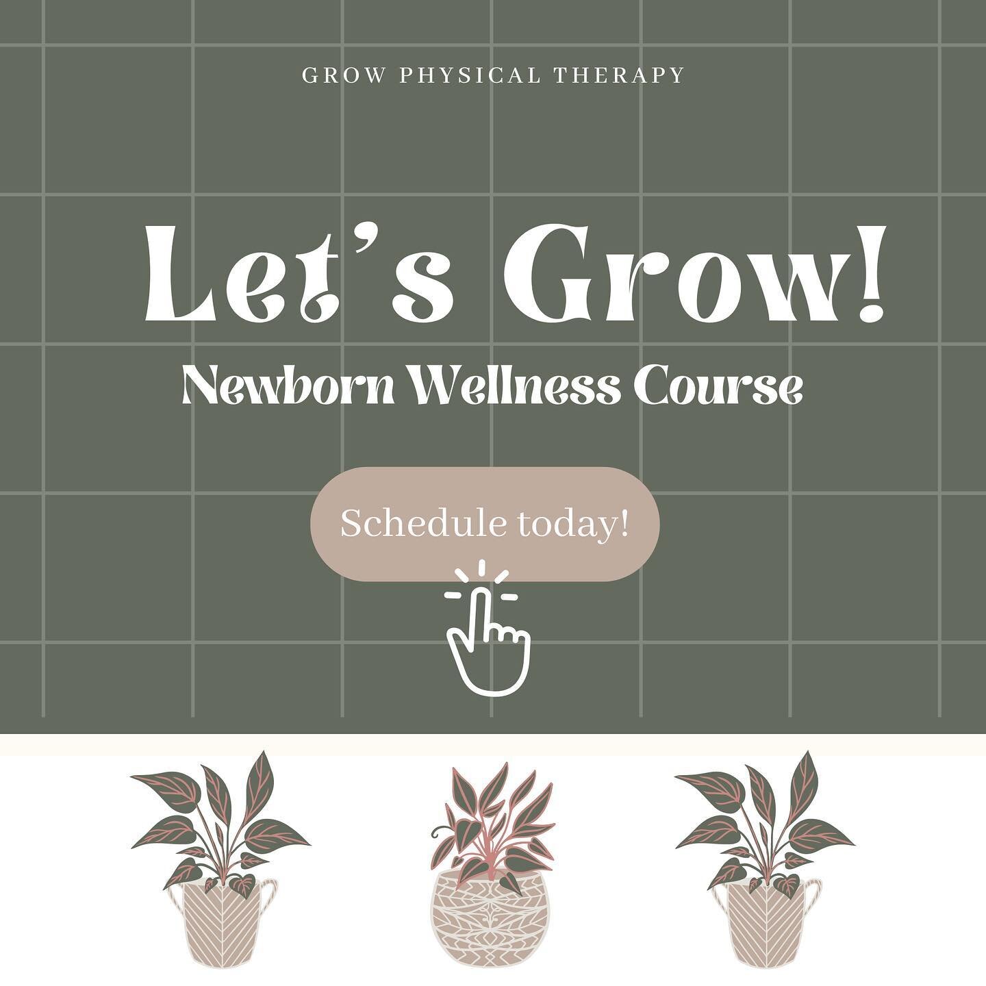 So happy to announce my newborn wellness course &ldquo;Let&rsquo;s Grow&rdquo; is now available for you to book through my website! The topics include:

+ gross motor milestones
+ prevention and education of torticollis and plagiocephaly 
+ tummy tim