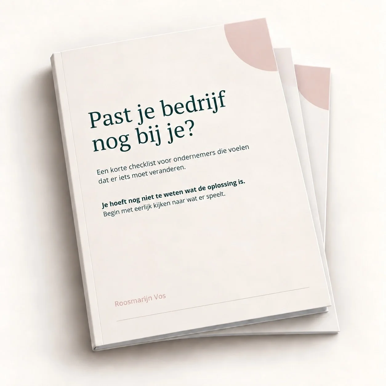 Checklist Past je bedrijf nog bij je van Roos Vos