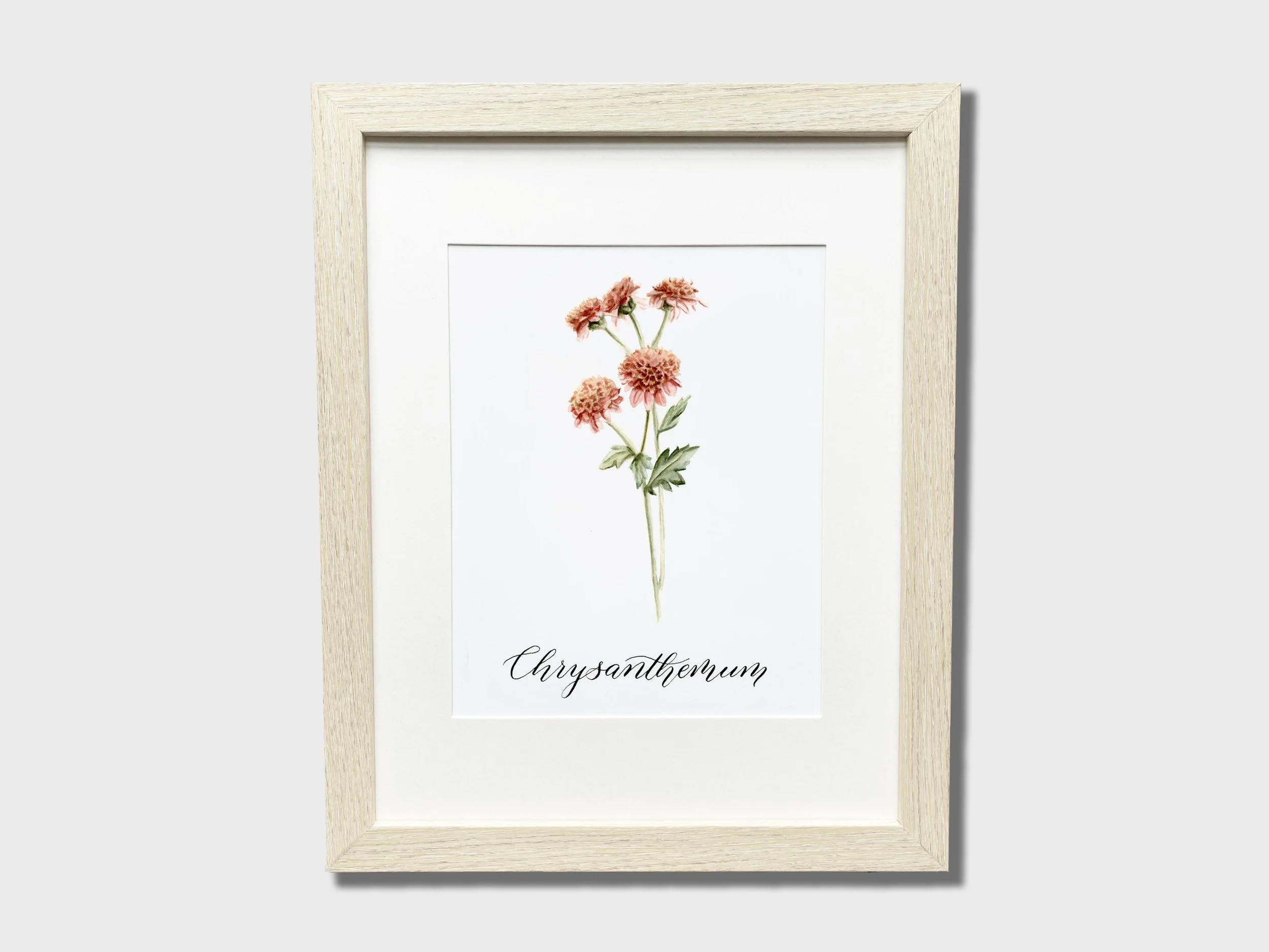 Framed watercolor painting of pink chrysanthemum