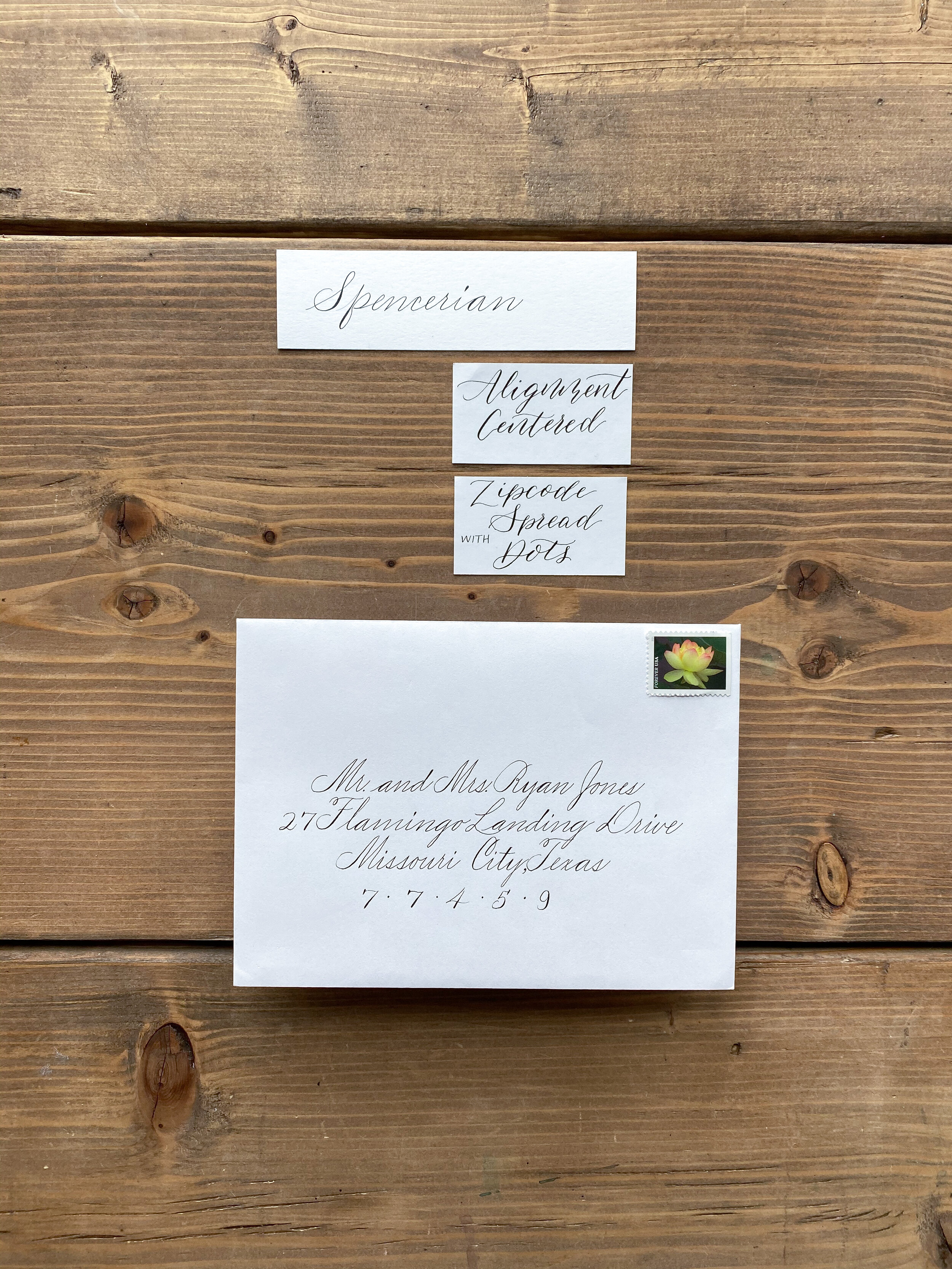 Beautiful and Original Signs, Custom Invitations, and Envelope Addressing  for Weddings — Dip Script and Watercolor