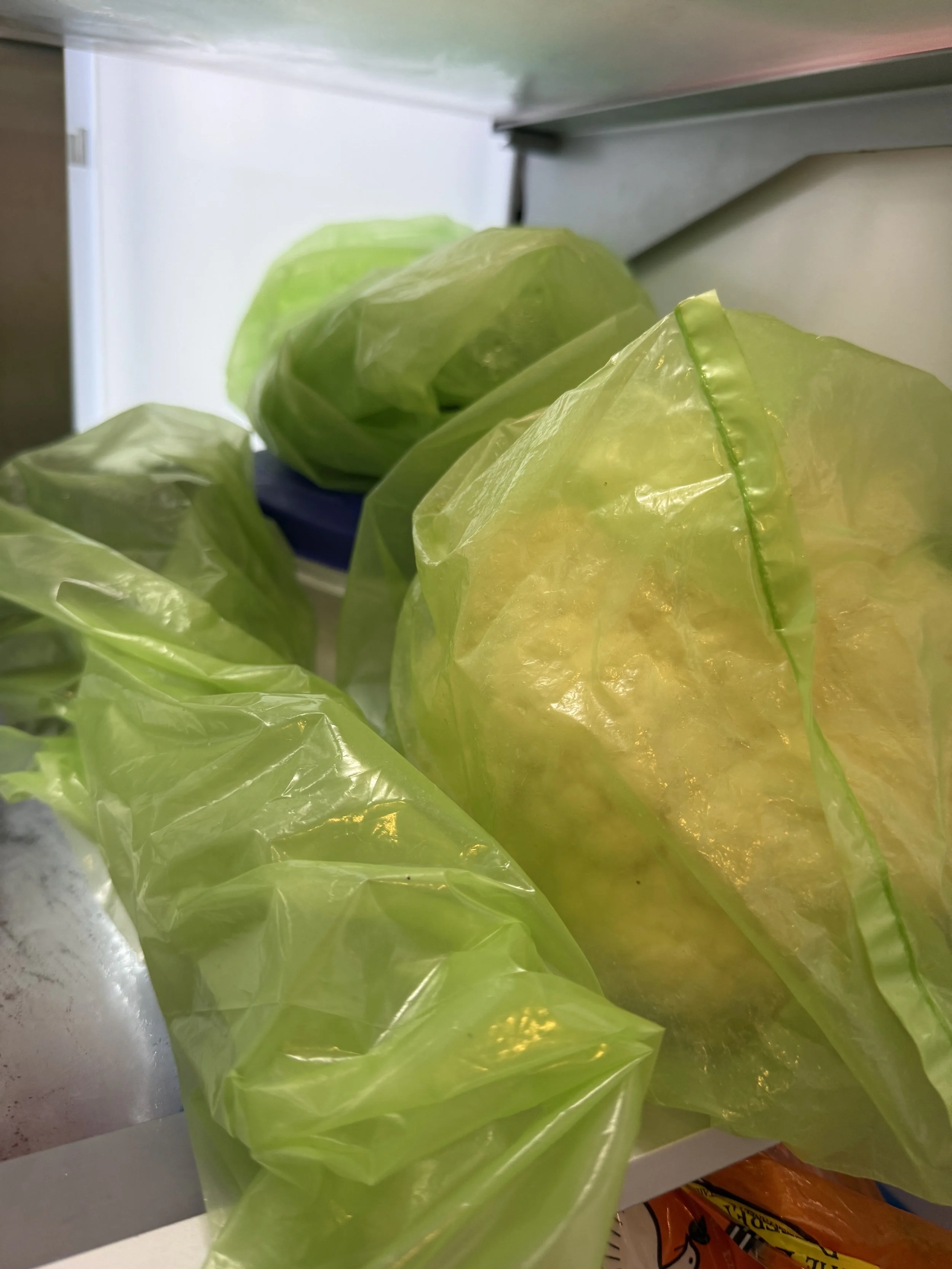 produce storage bags for refrigerator.jpeg