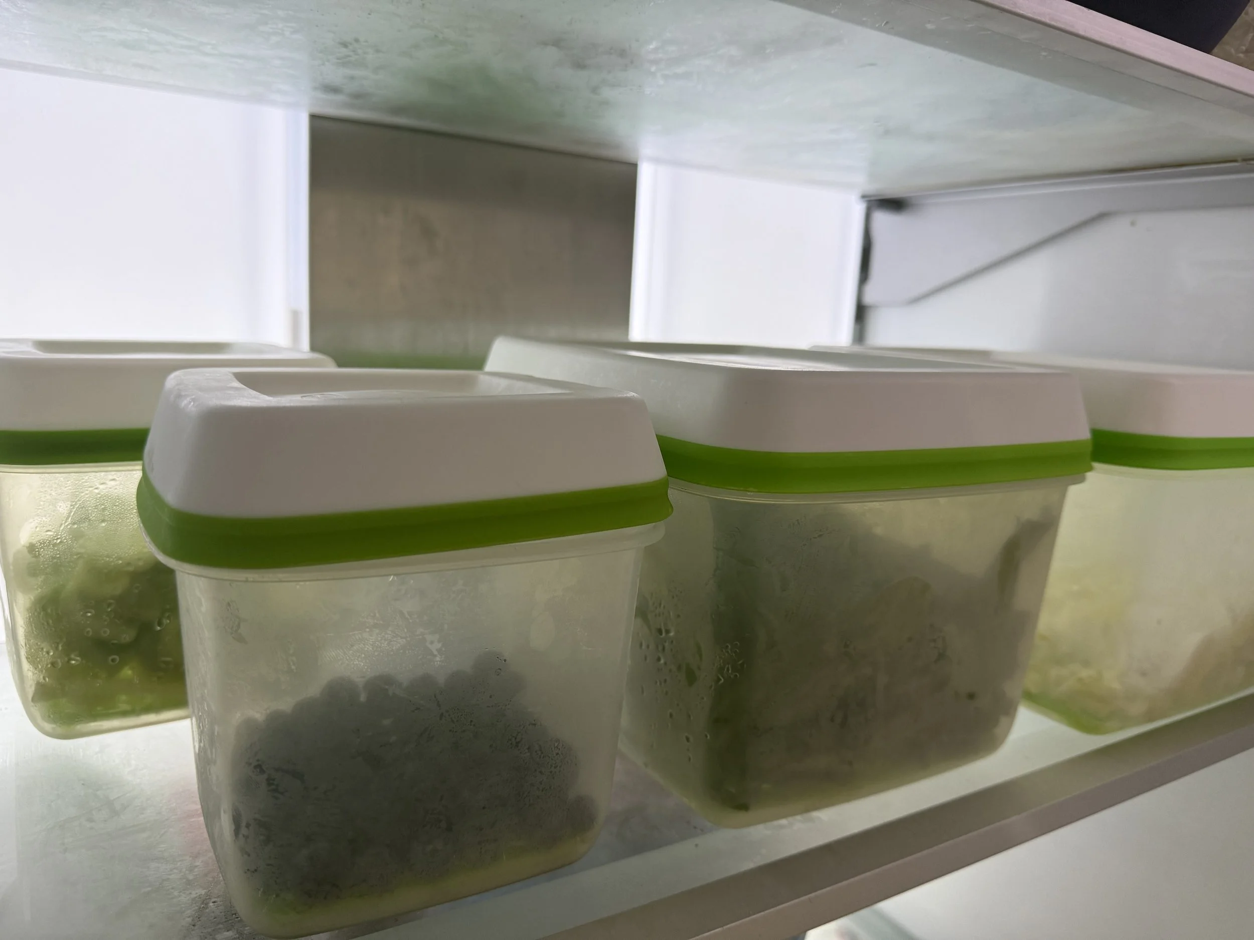 refrigerator storage containers to be organized.jpeg