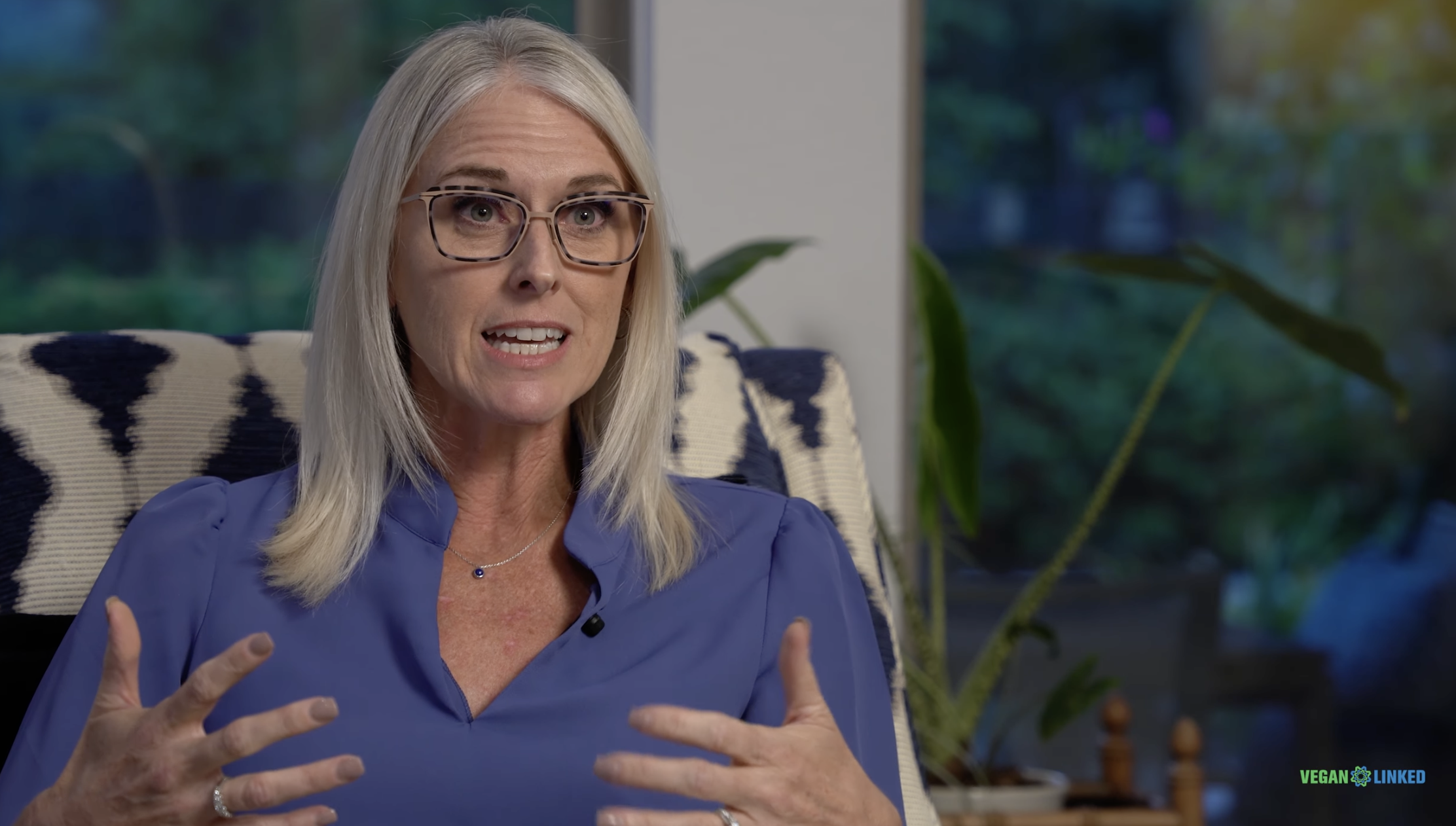 Melissa Furman interviewed on Vegan Linked's You Tube channel