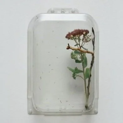 Capture d’écran, le 2022-02-05 à 19.37.08.jpg