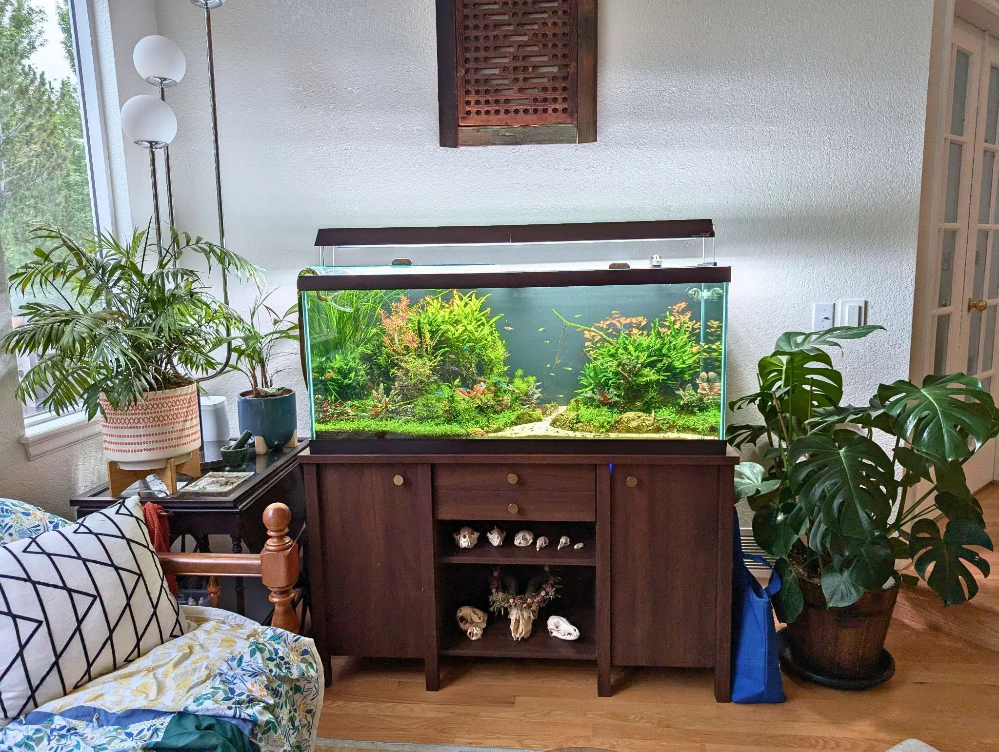 carol 75 gal small.jpg