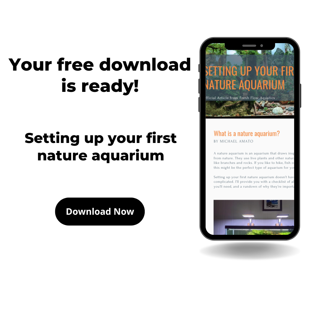 Setting up your first nature aquarium & checklist — Custom Freshwater