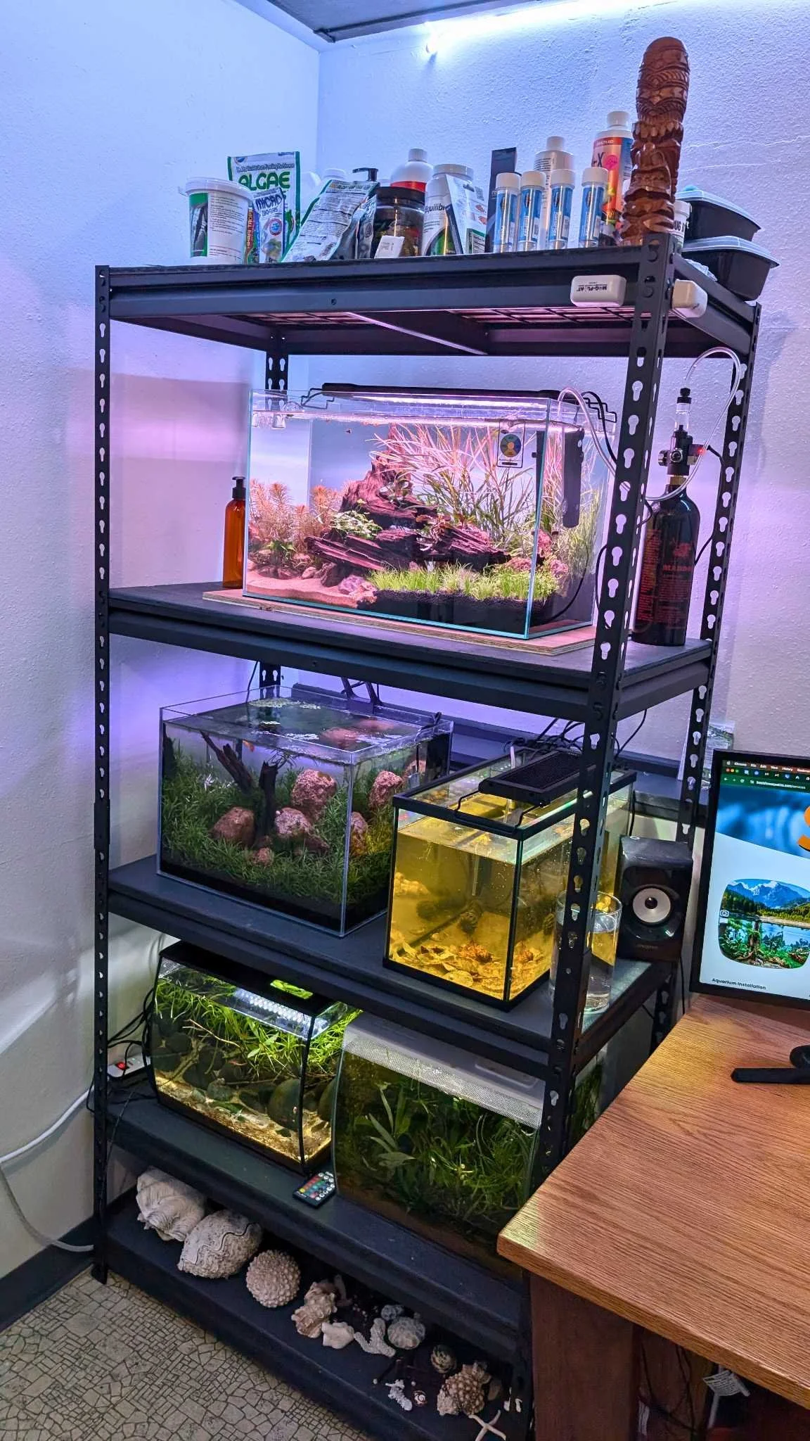 Aquarium rack small.jpg