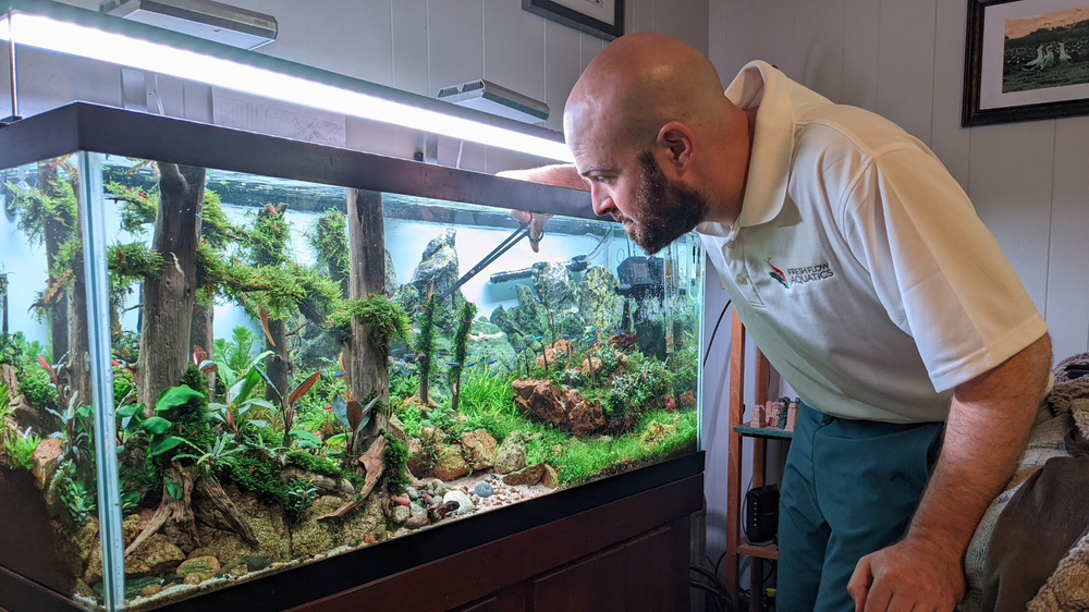 Aquarium Maintenance/Cleaning — Custom Freshwater Aquariums and