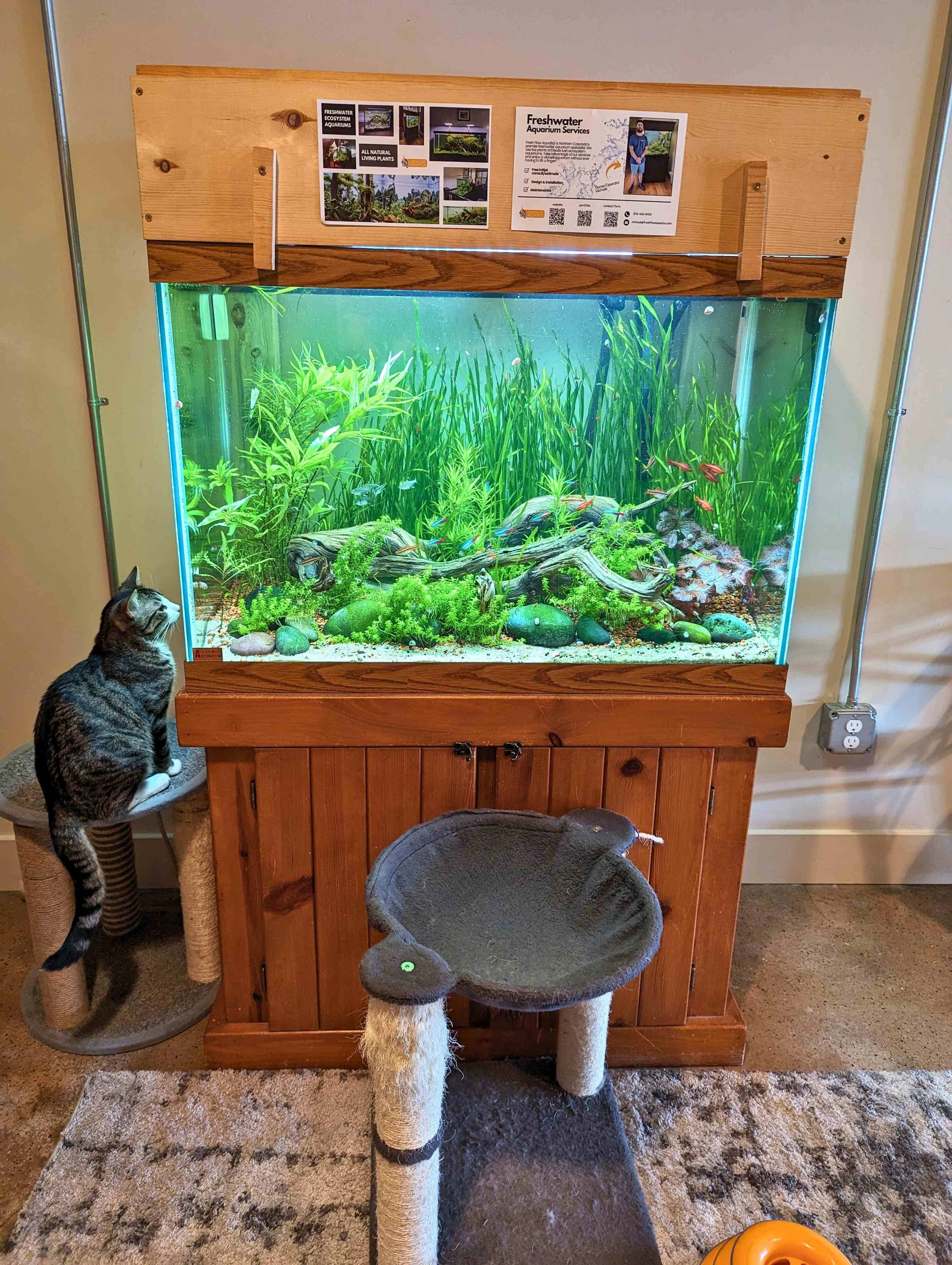cat cafe OG small.jpg