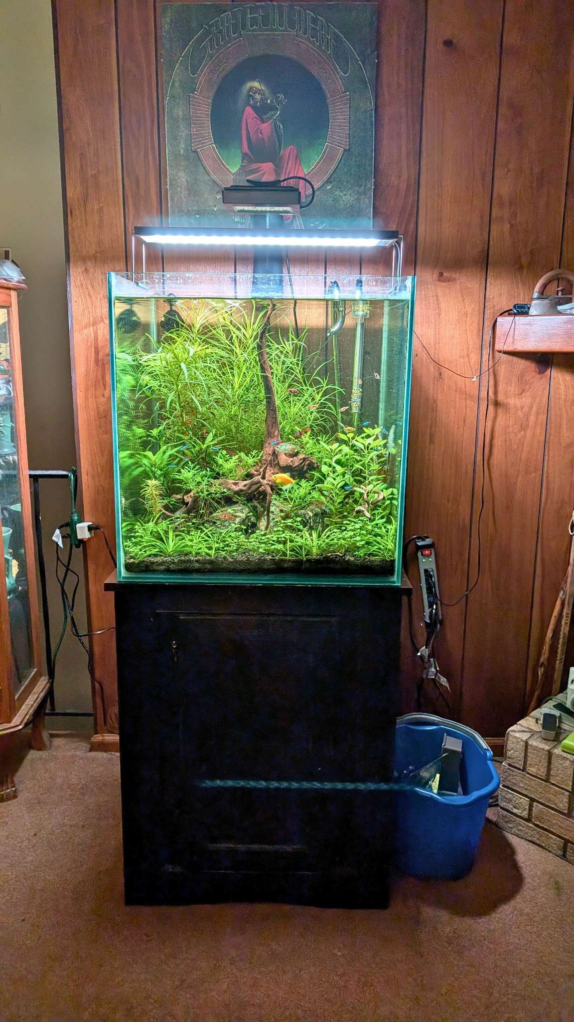 Kevin 60 gal cube small.jpg