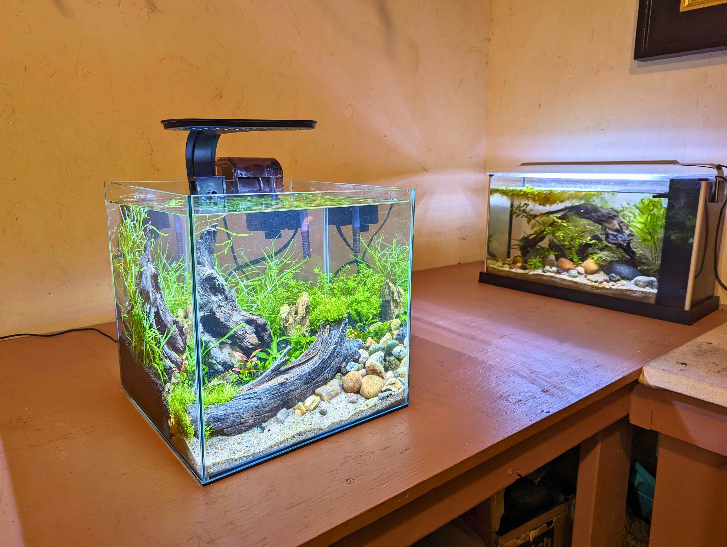 small tanks small.jpg