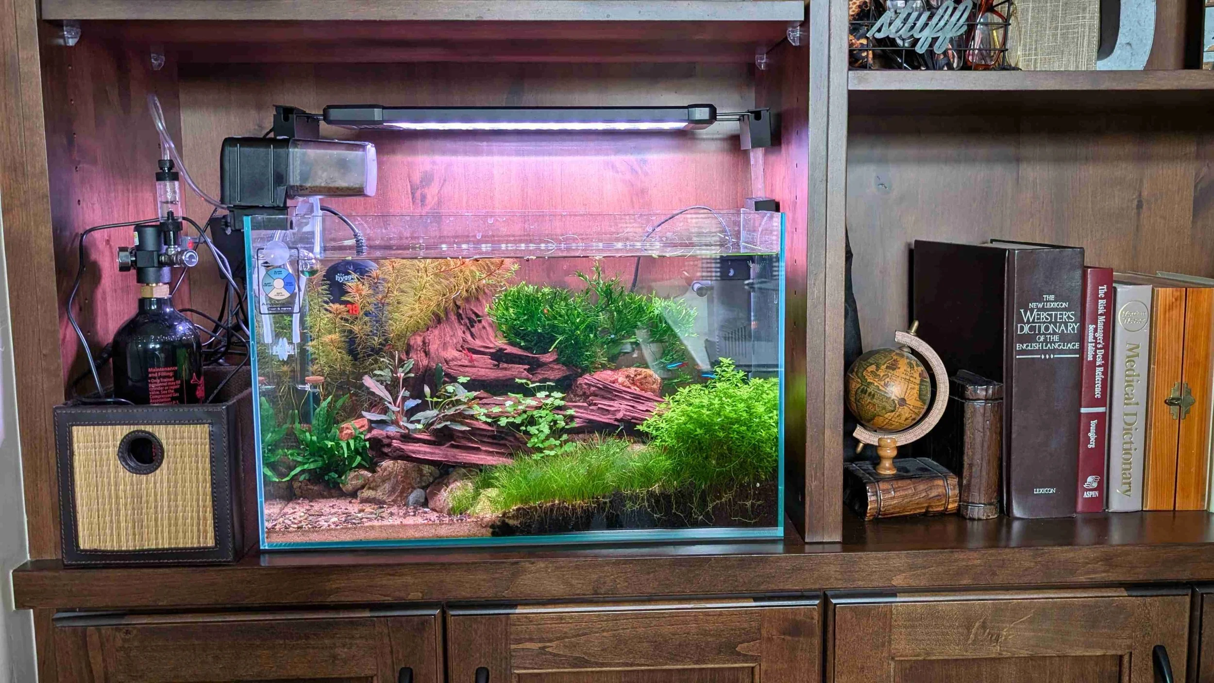 Dana's 10 gal small.jpg