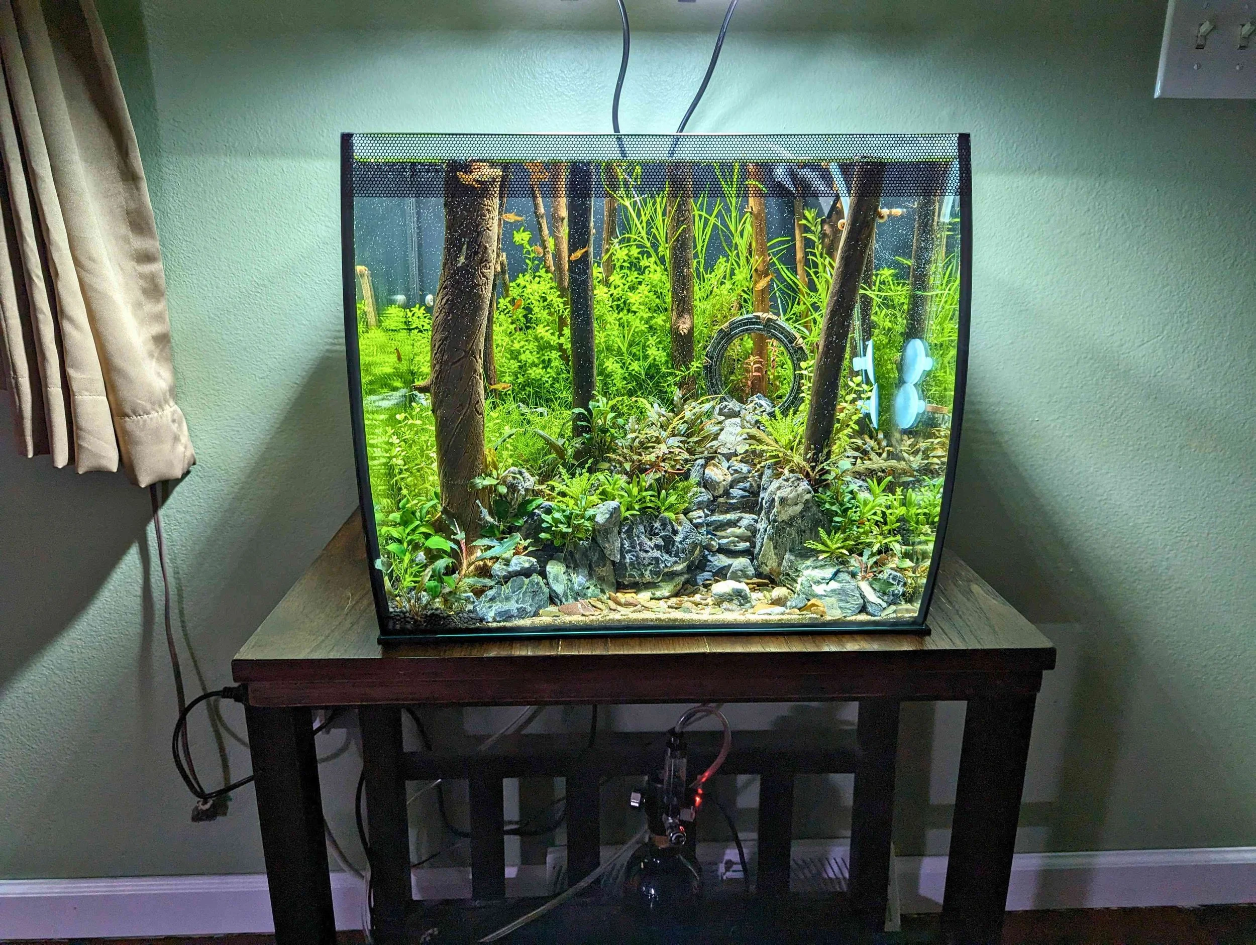 stargate tank small.jpg