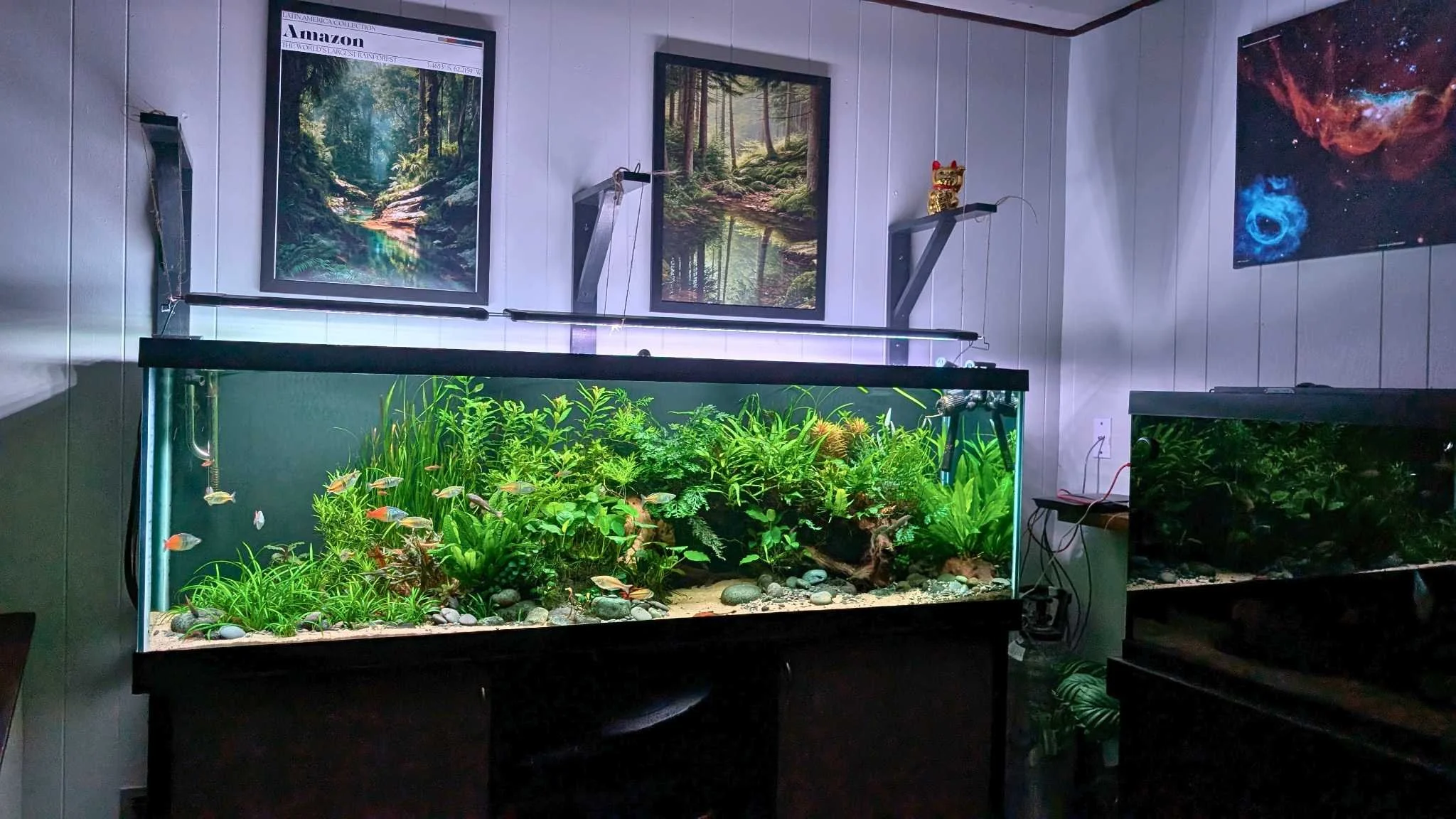 125 gal rainbow community small.jpg