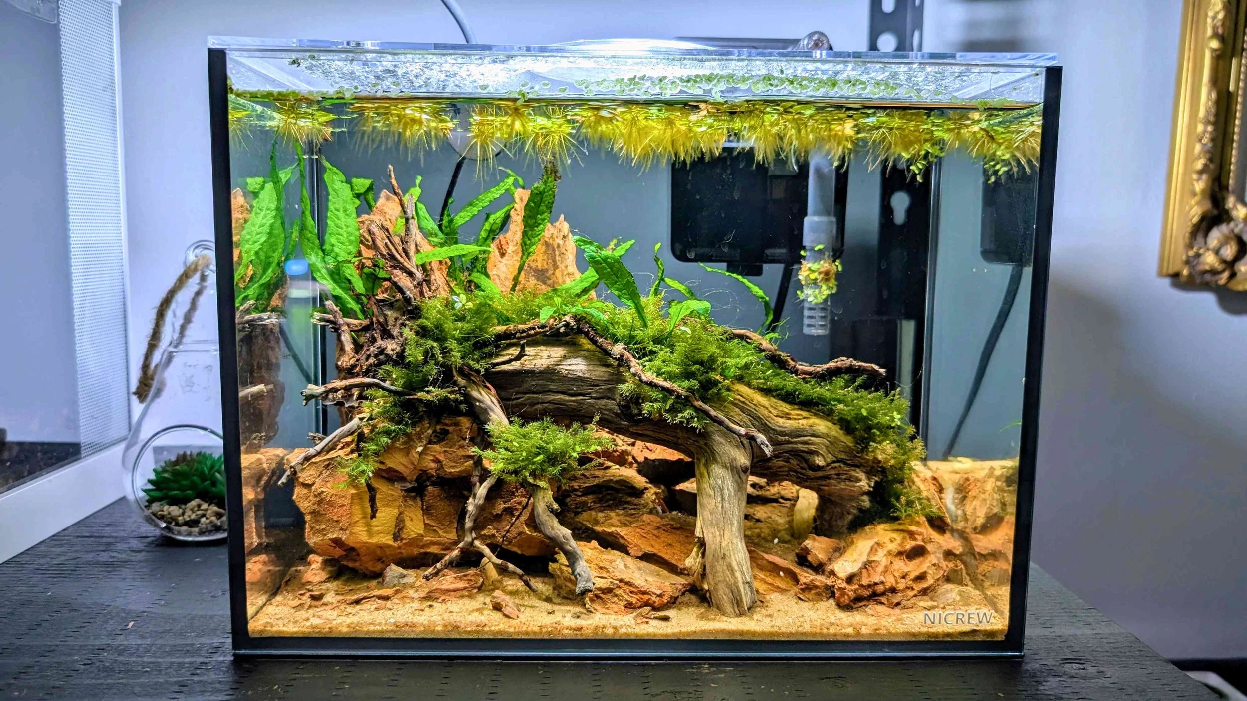 Nicrew 2.5 gal small.jpg