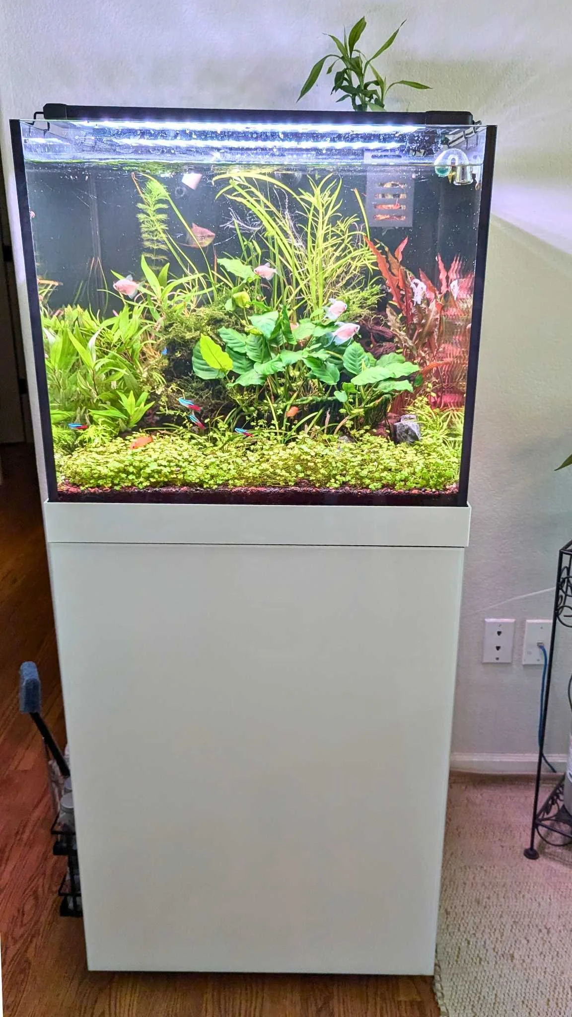 Sara 65 gal small.jpg