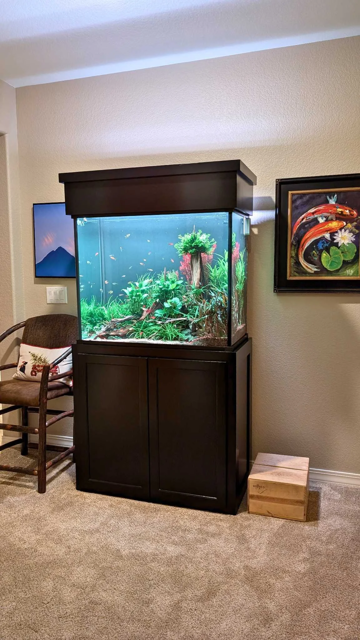 Phil 90 gal new home.jpg