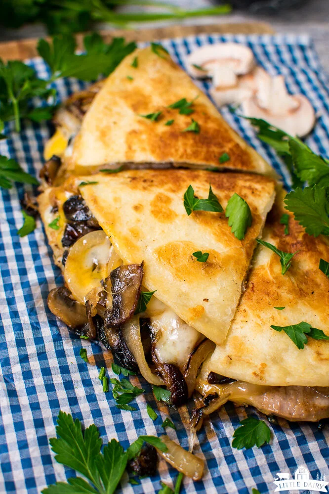 Quesadilla Mushroom