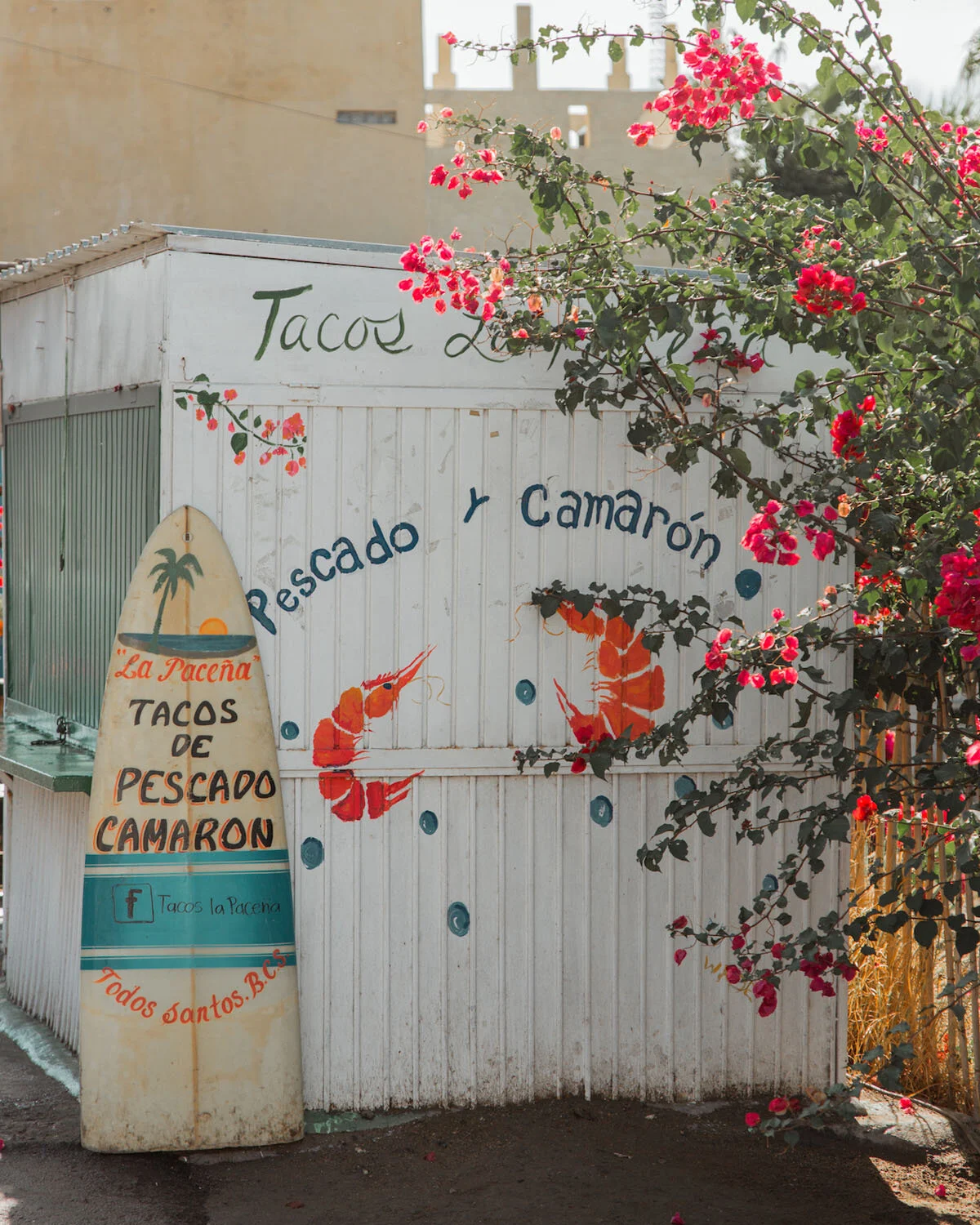 Tacos-Paceña-01.jpg