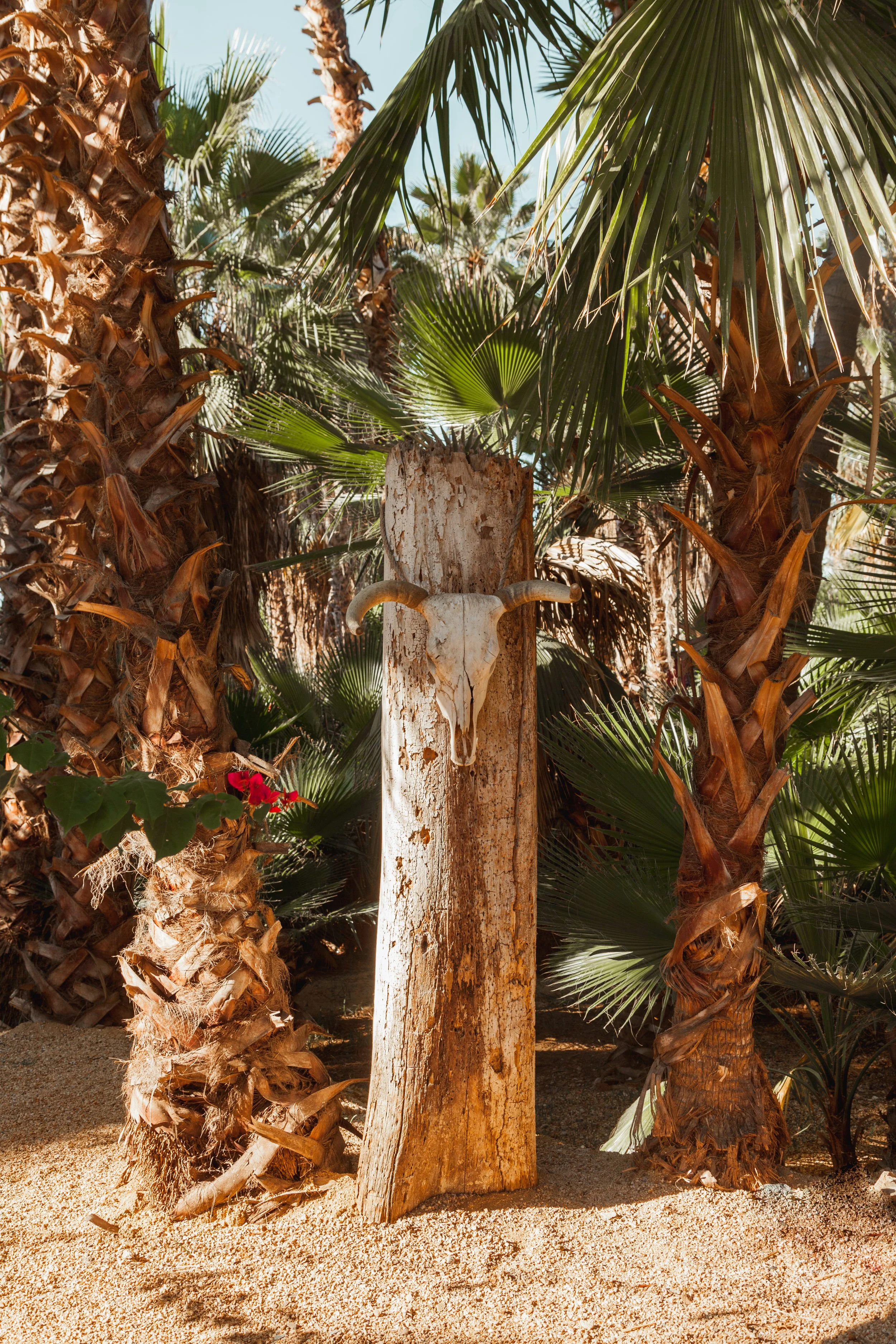 untitled-12-7.JPG