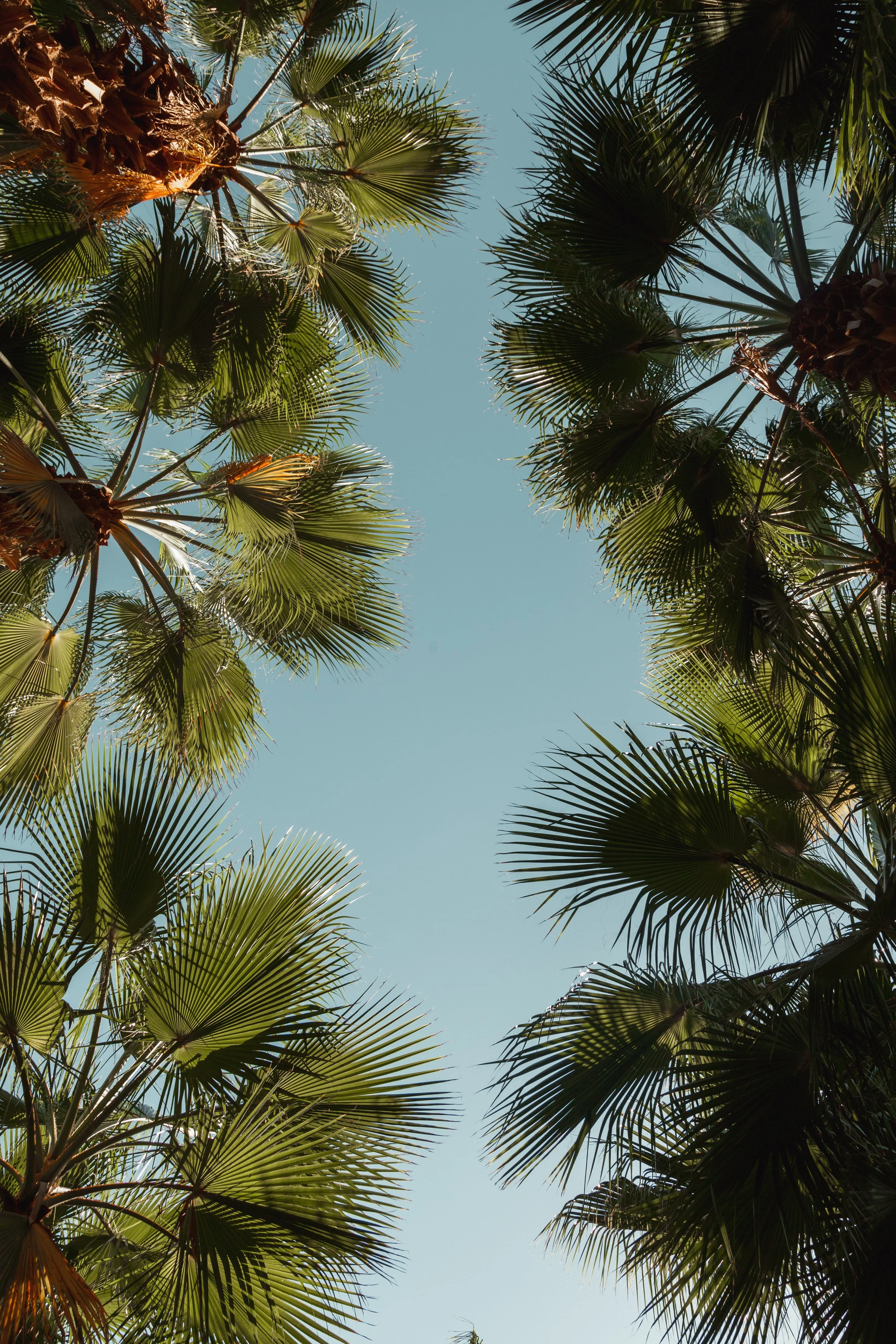 untitled-11-7.JPG