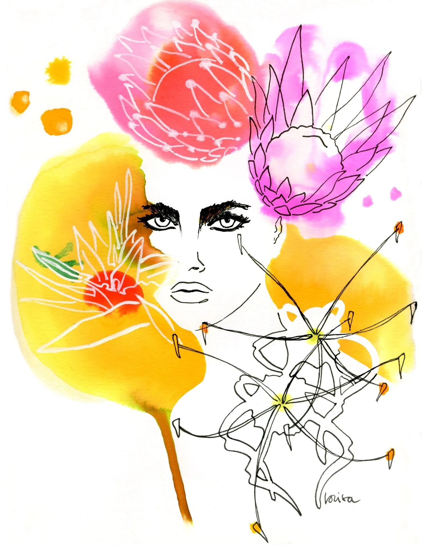 Bird Of Paradise.jpg