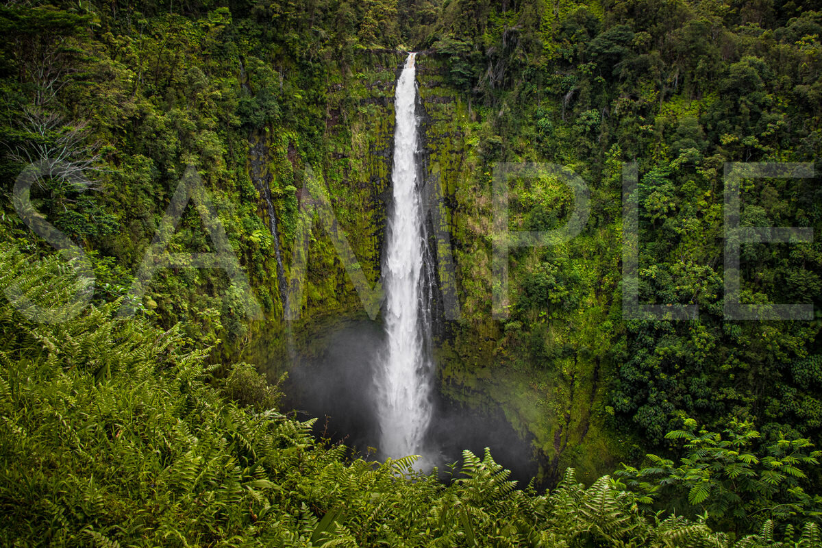 FEELING GREEN All 422 feet of the lush and extremely beautiful Akaka Falls