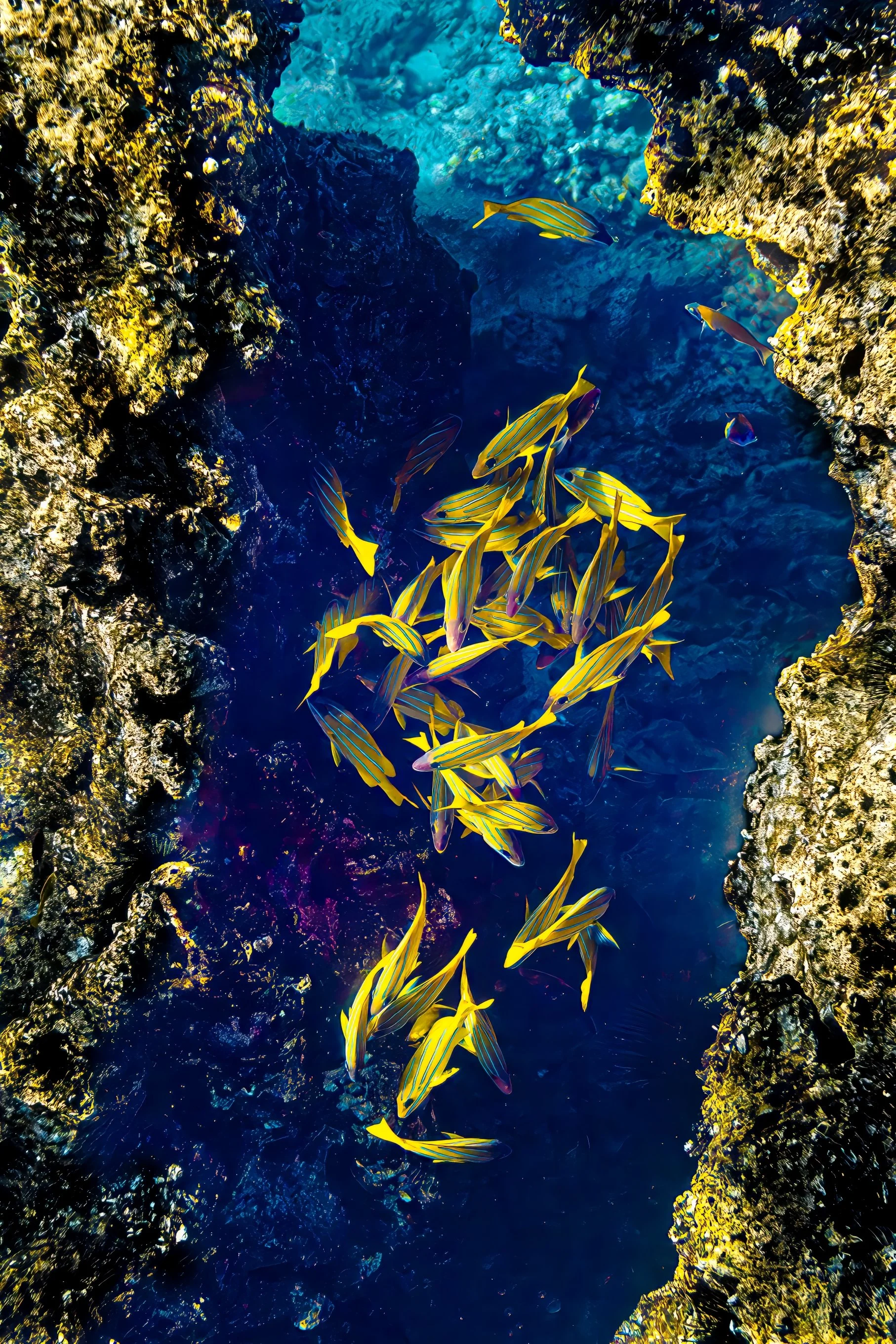 14 Illuminated Abyss S.jpg