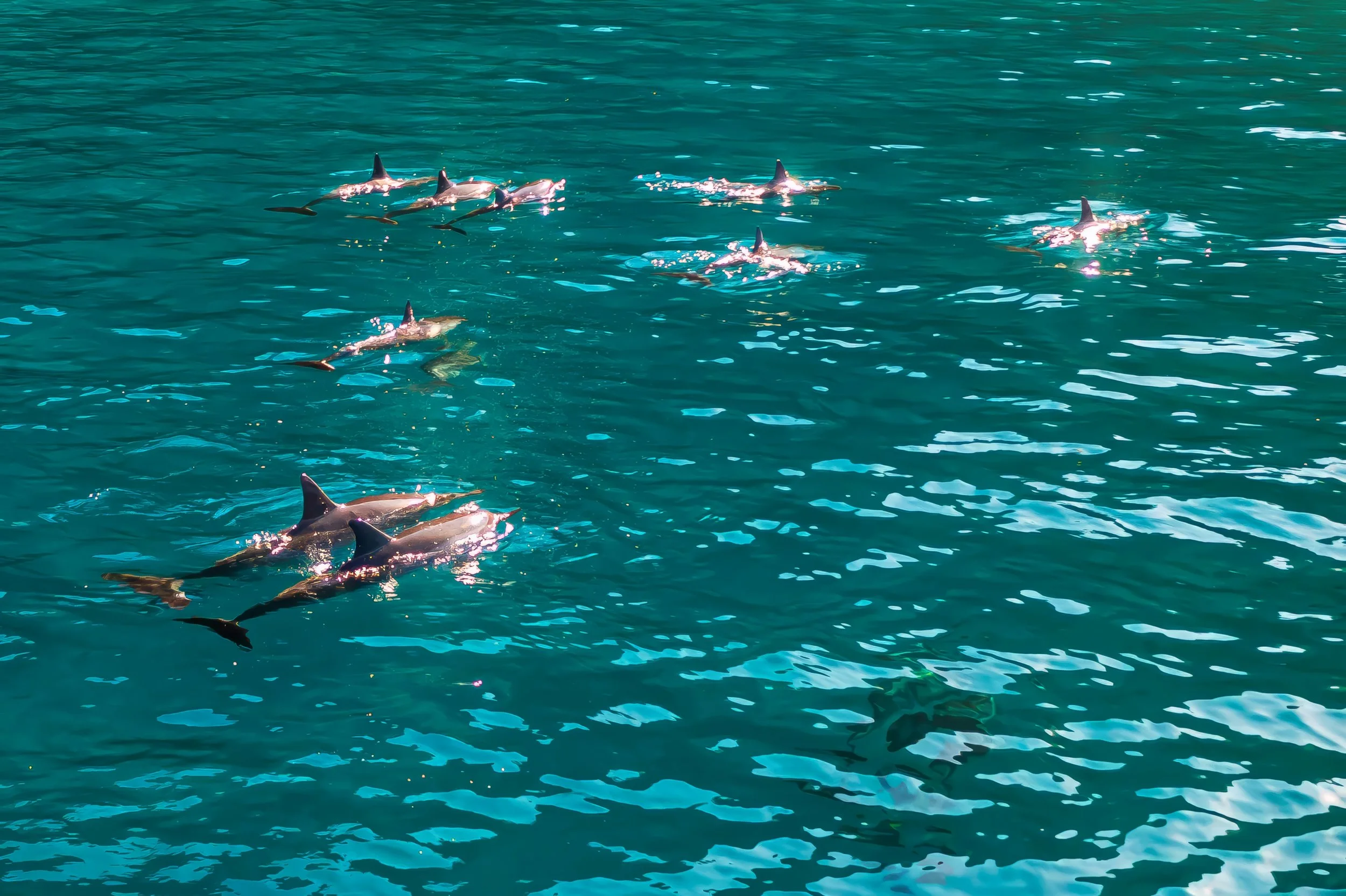 13 Aqua Kinesis S.jpg