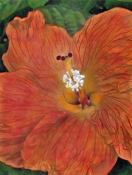 Glitter Hibiscus Toni Parras.jpg