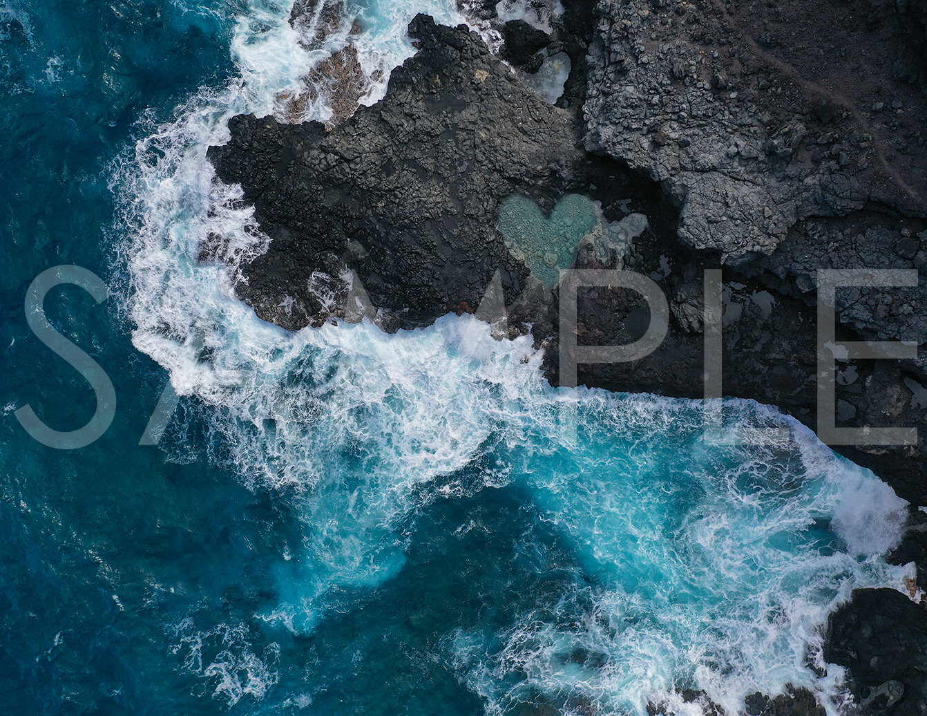 TIDE POOL An unexpected surprise in a small tide pool off the coast of Oahu, a gentle reminder to me of what is most important in my life