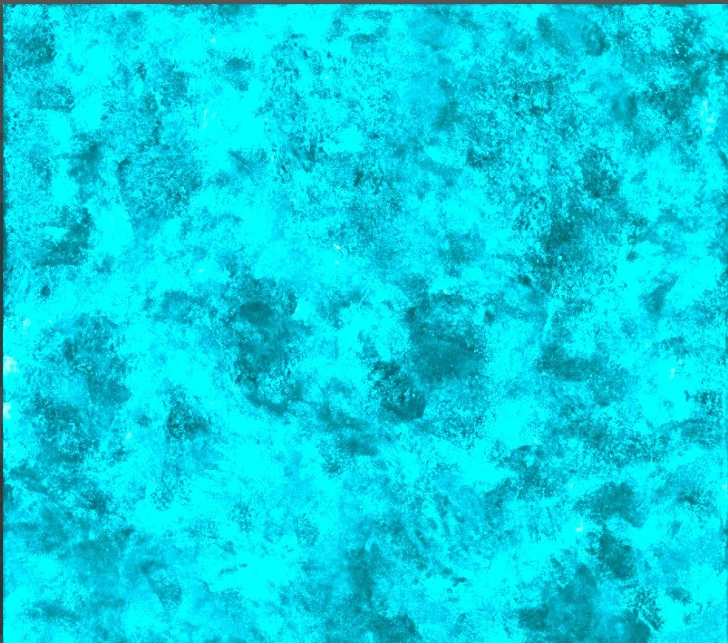 Tide Pools.jpg