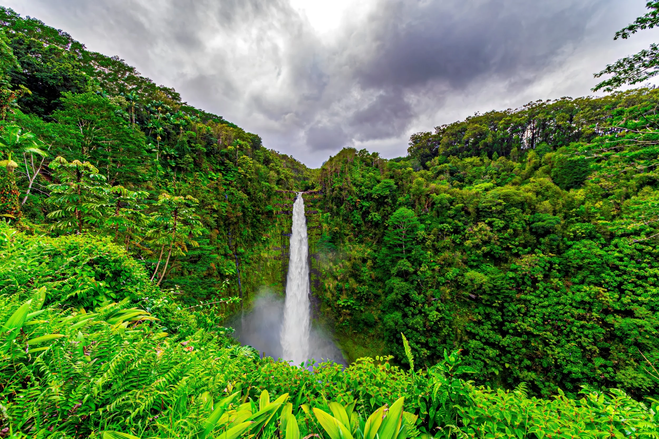 11 A Symphony in Emerald S.jpg