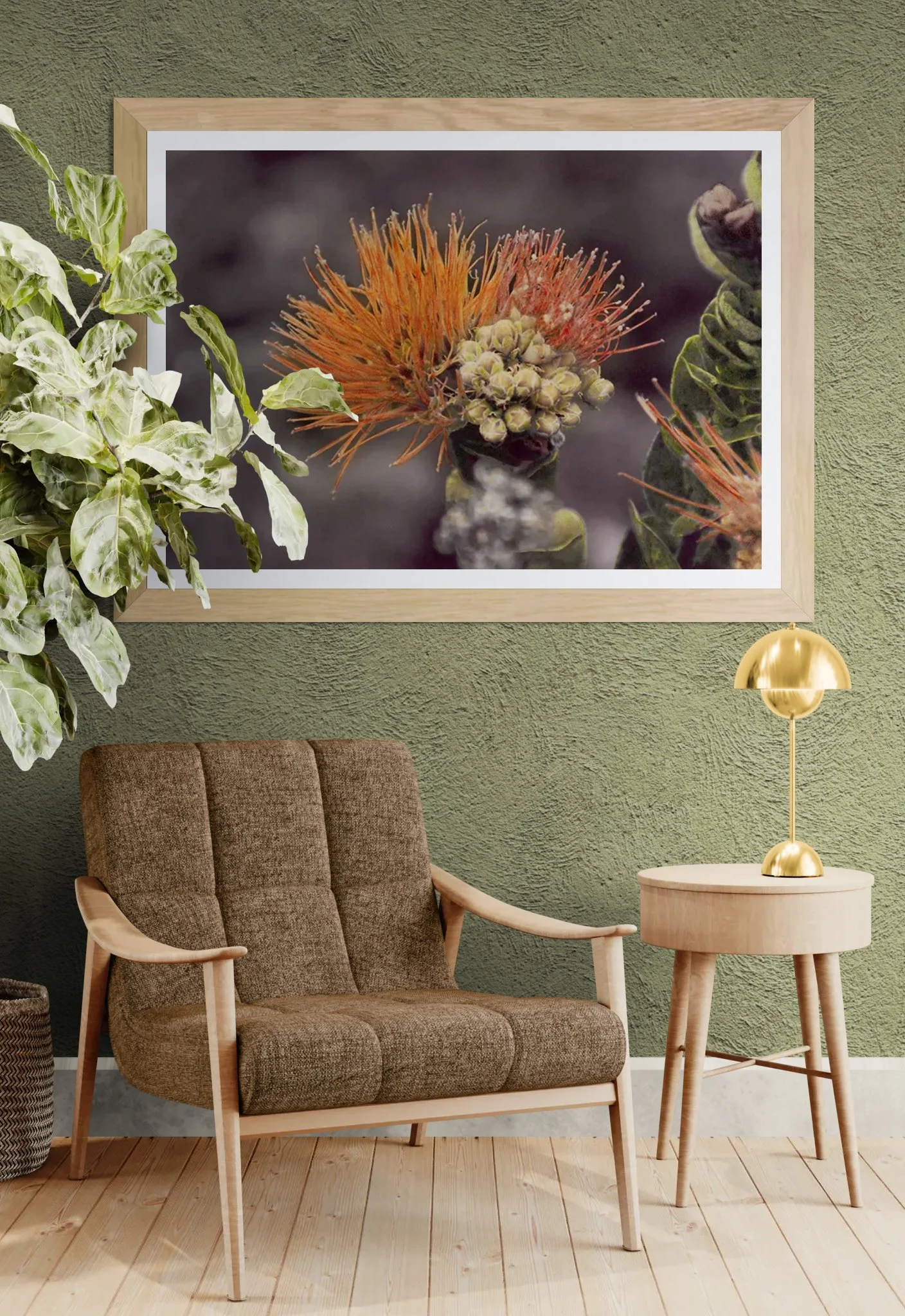 Orange Ohia in cozy room Toni Parras.jpeg