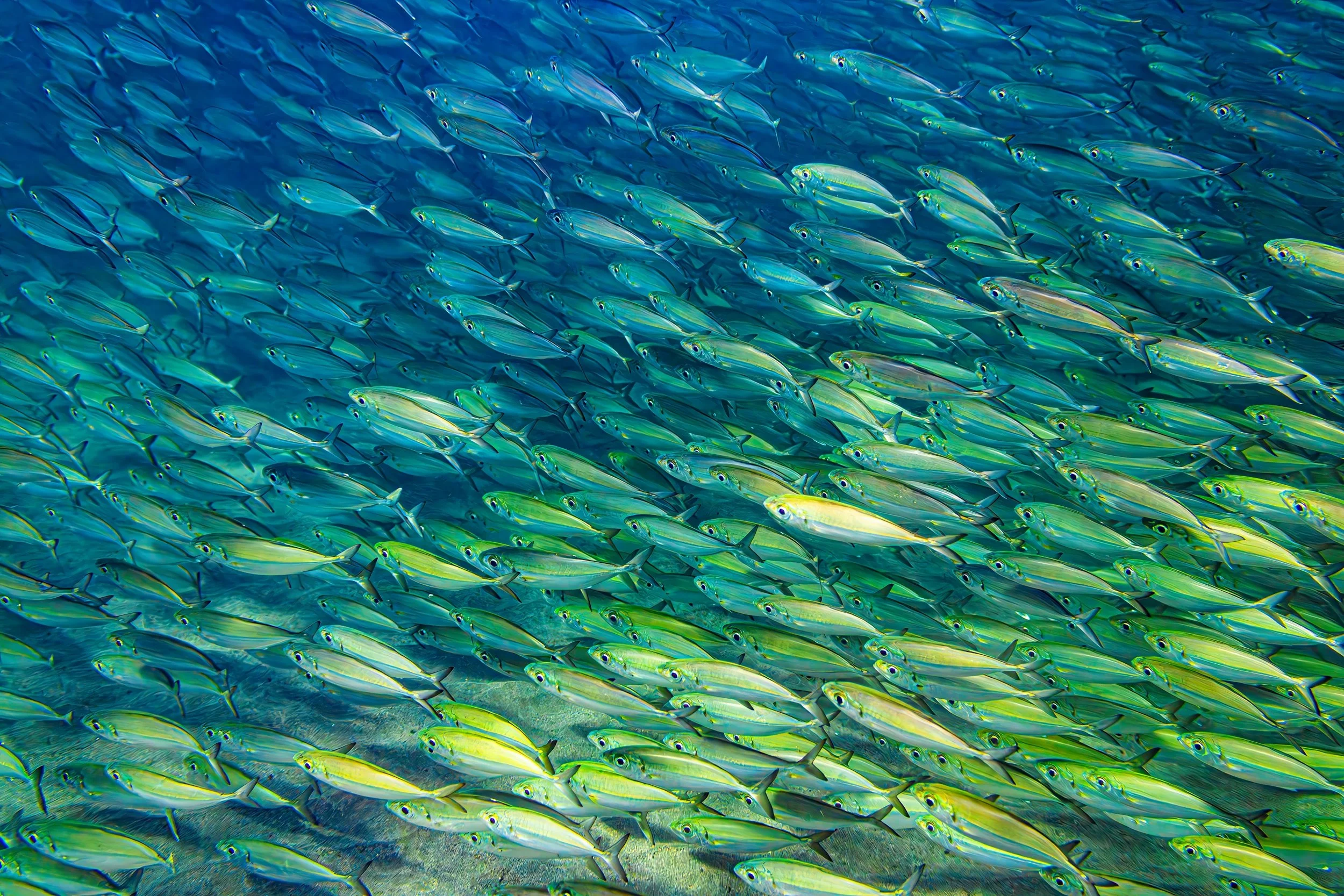 22 Current Tapestry S.jpg