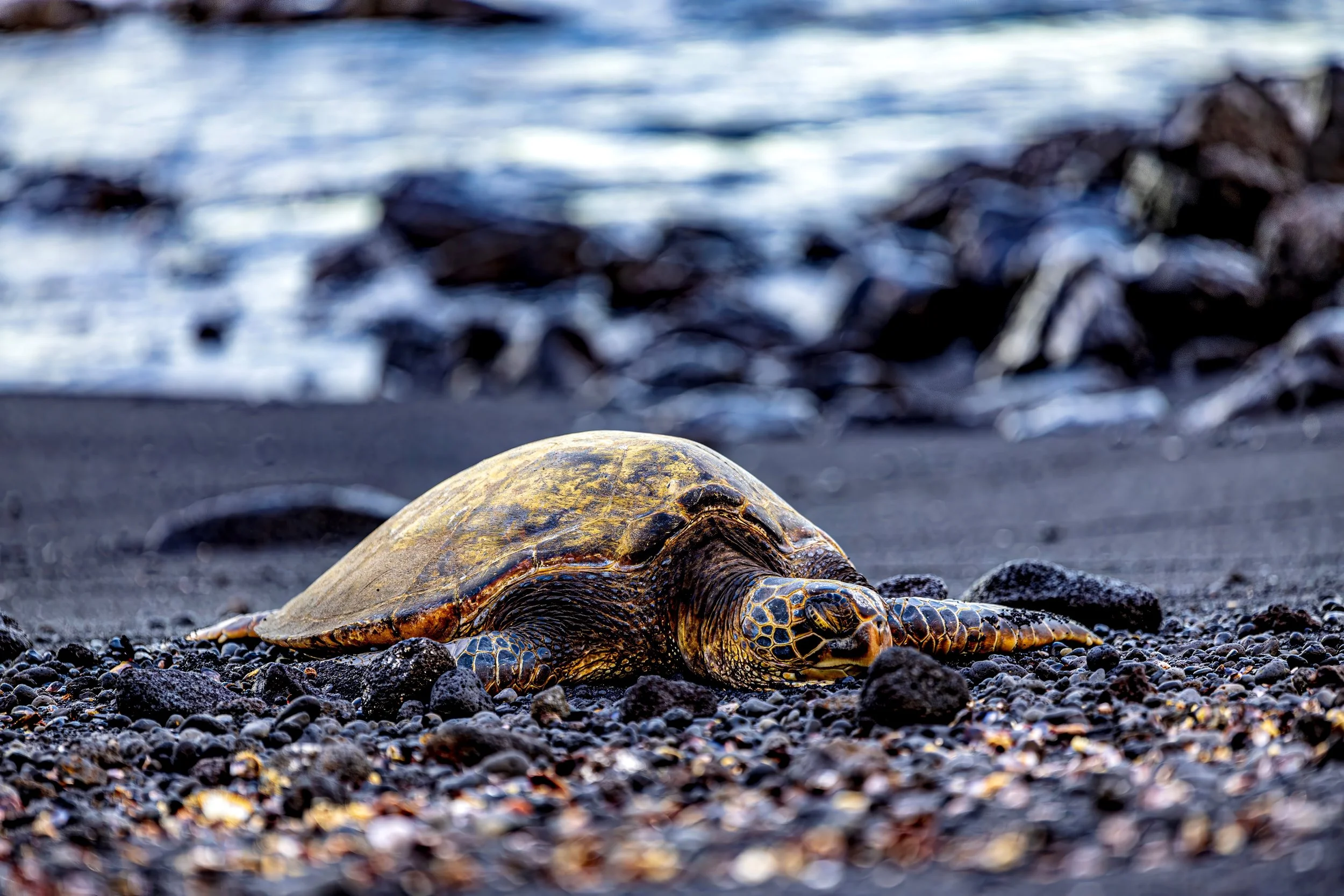 2 Serenity on Black Sands S.jpg