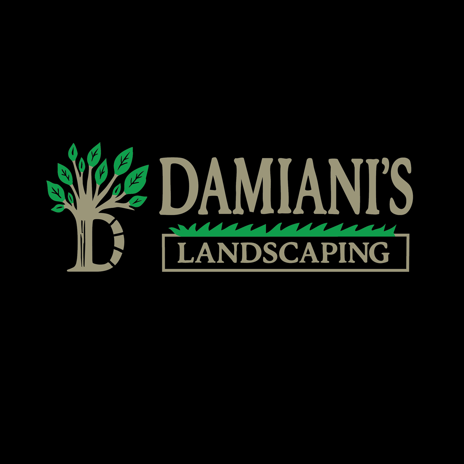 Damiani's Landscaping