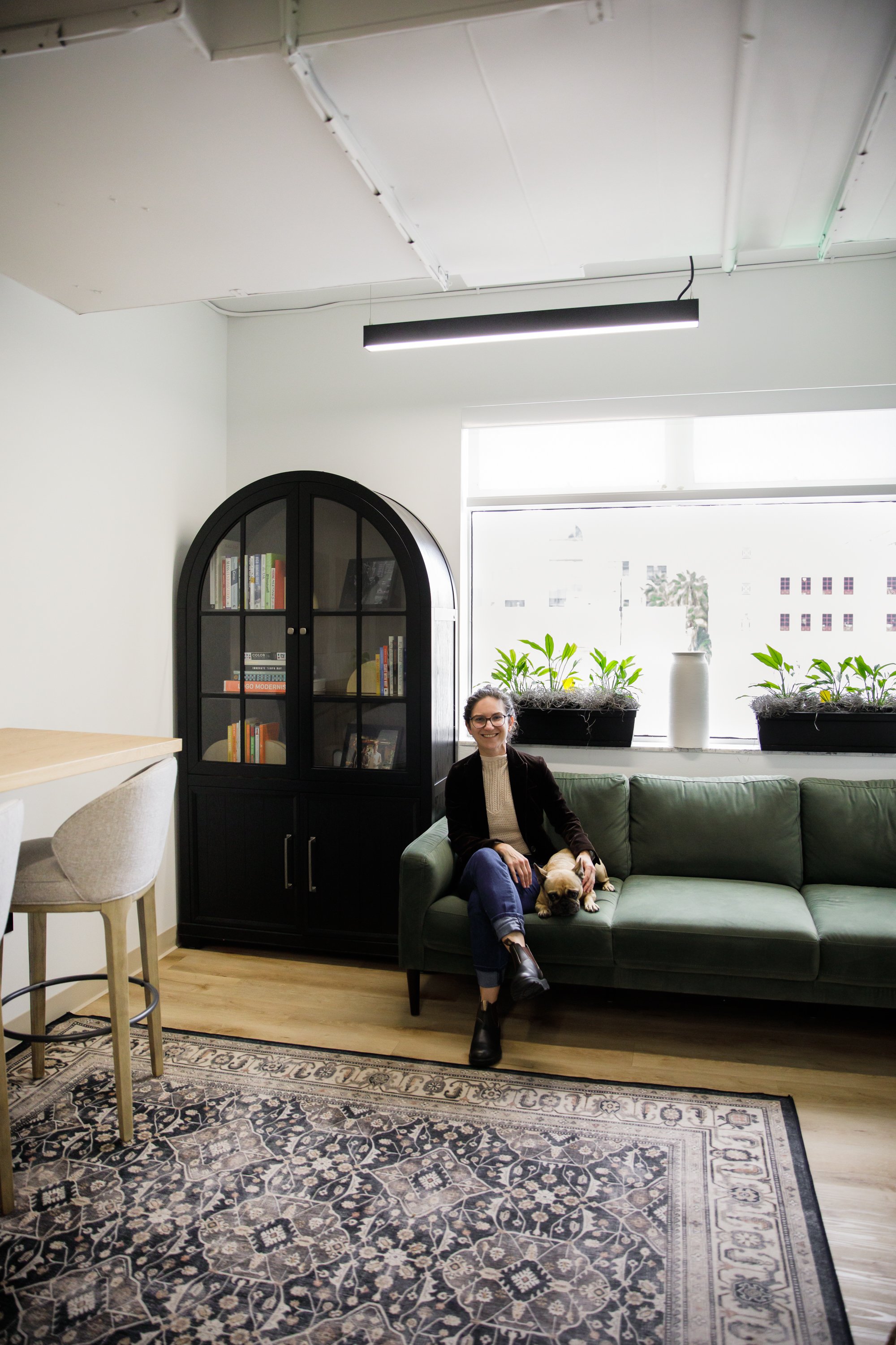 communal sitting area, French bulldog