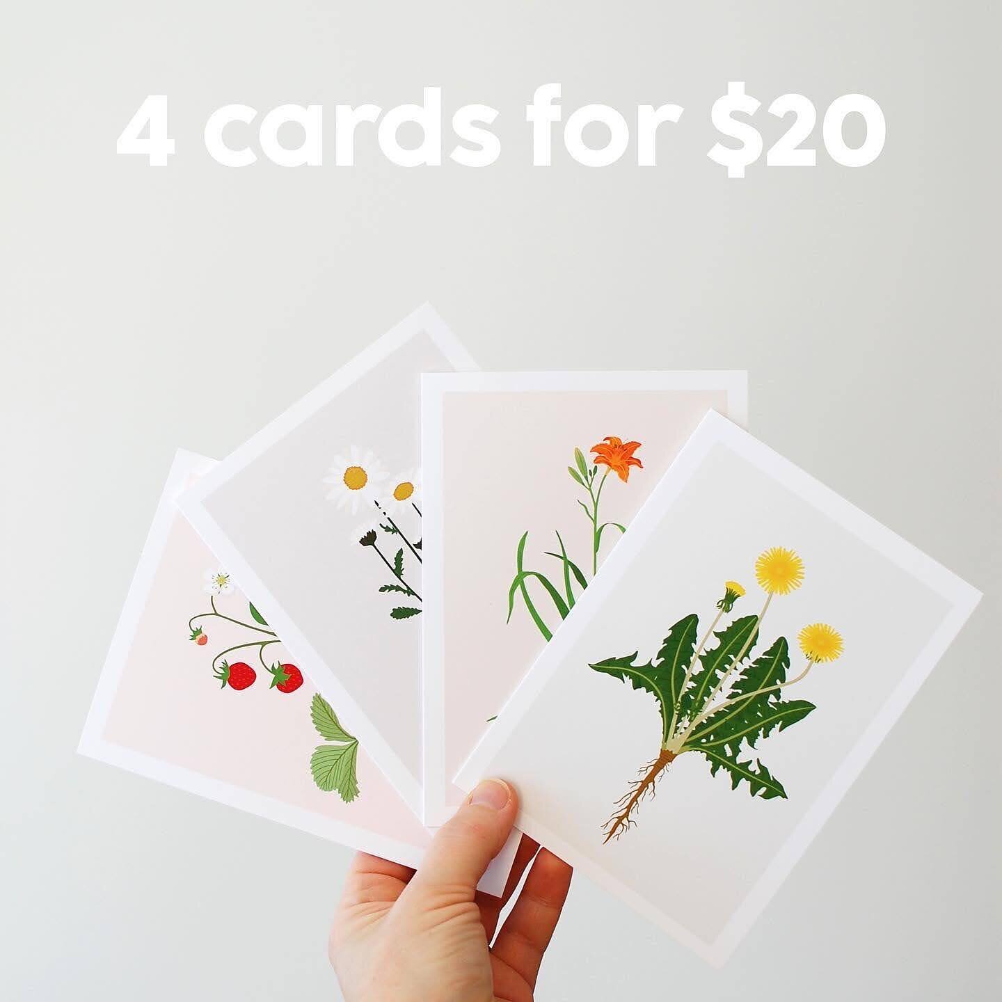 Send summer-y greetings to all your pals 🌻 Pick any four cards for only $20! Each card includes a description of the native flower on the back, so we can all learn a little more about the plants around us. Available now in my shop 🌿

besscallard.ca