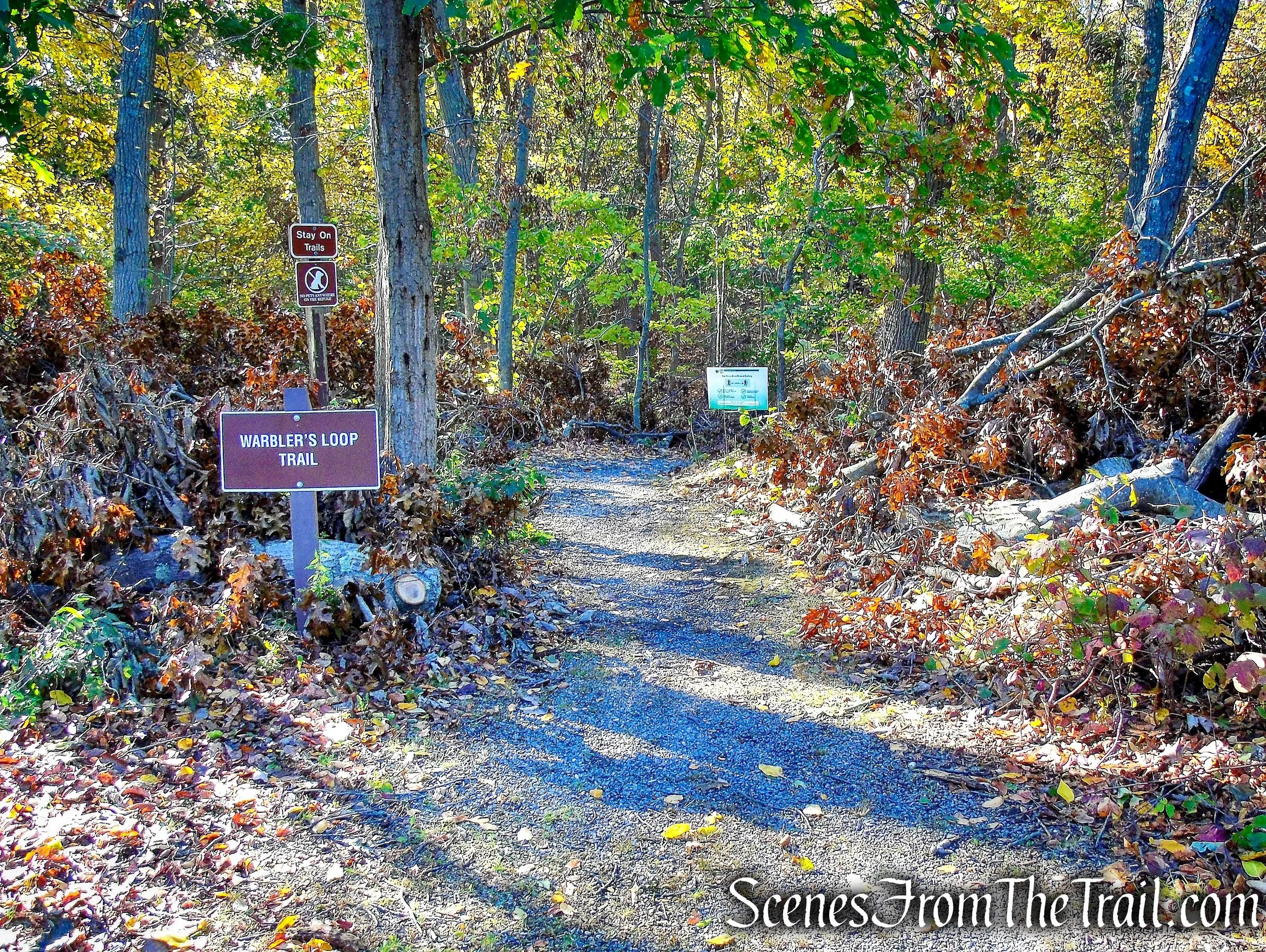   -Photo Credit:    Scenes From The Trail   