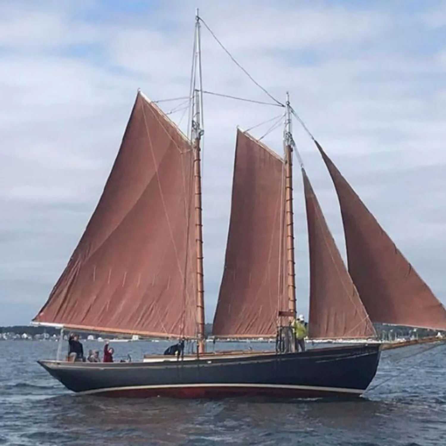   -Photo Credit:    Ginny Marie Schooner   