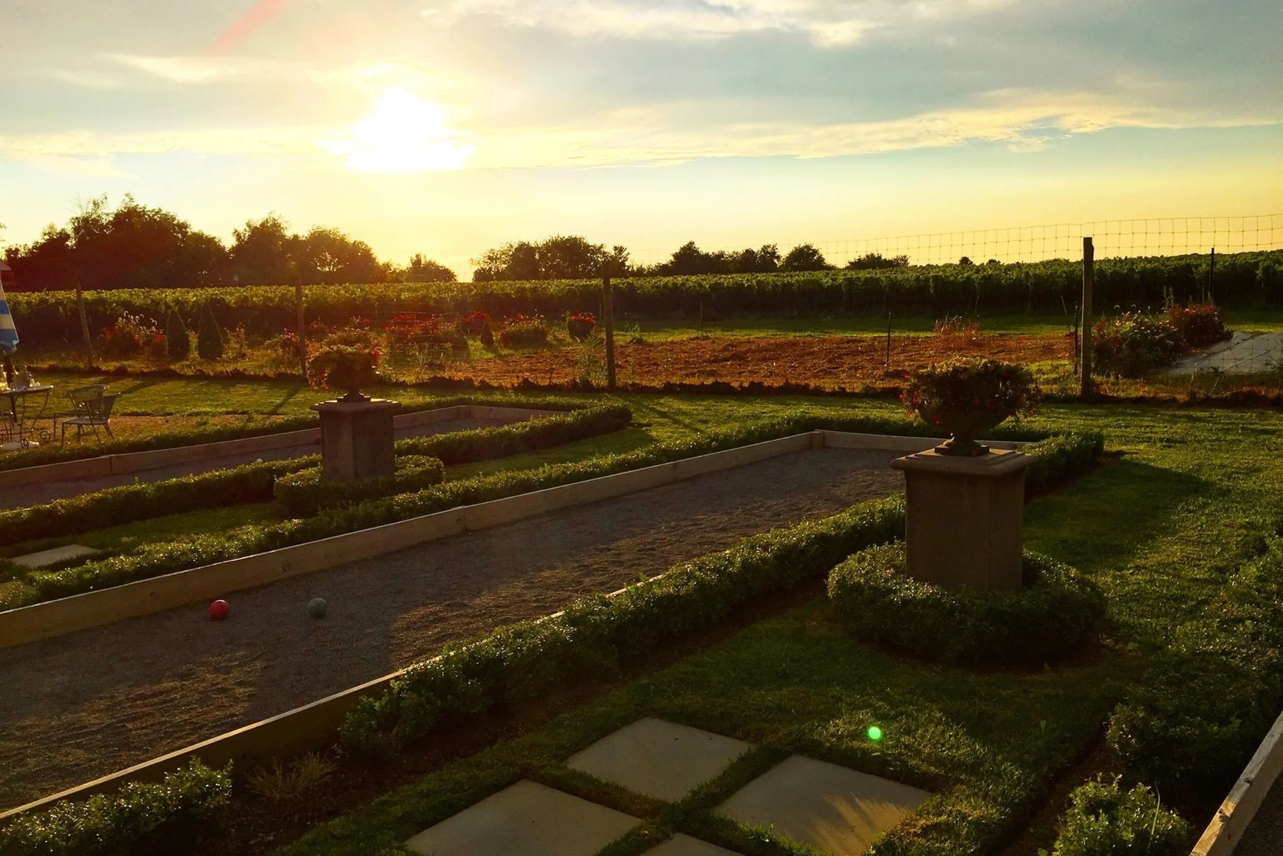   -Photo Credit:    Mattebella Vineyards   