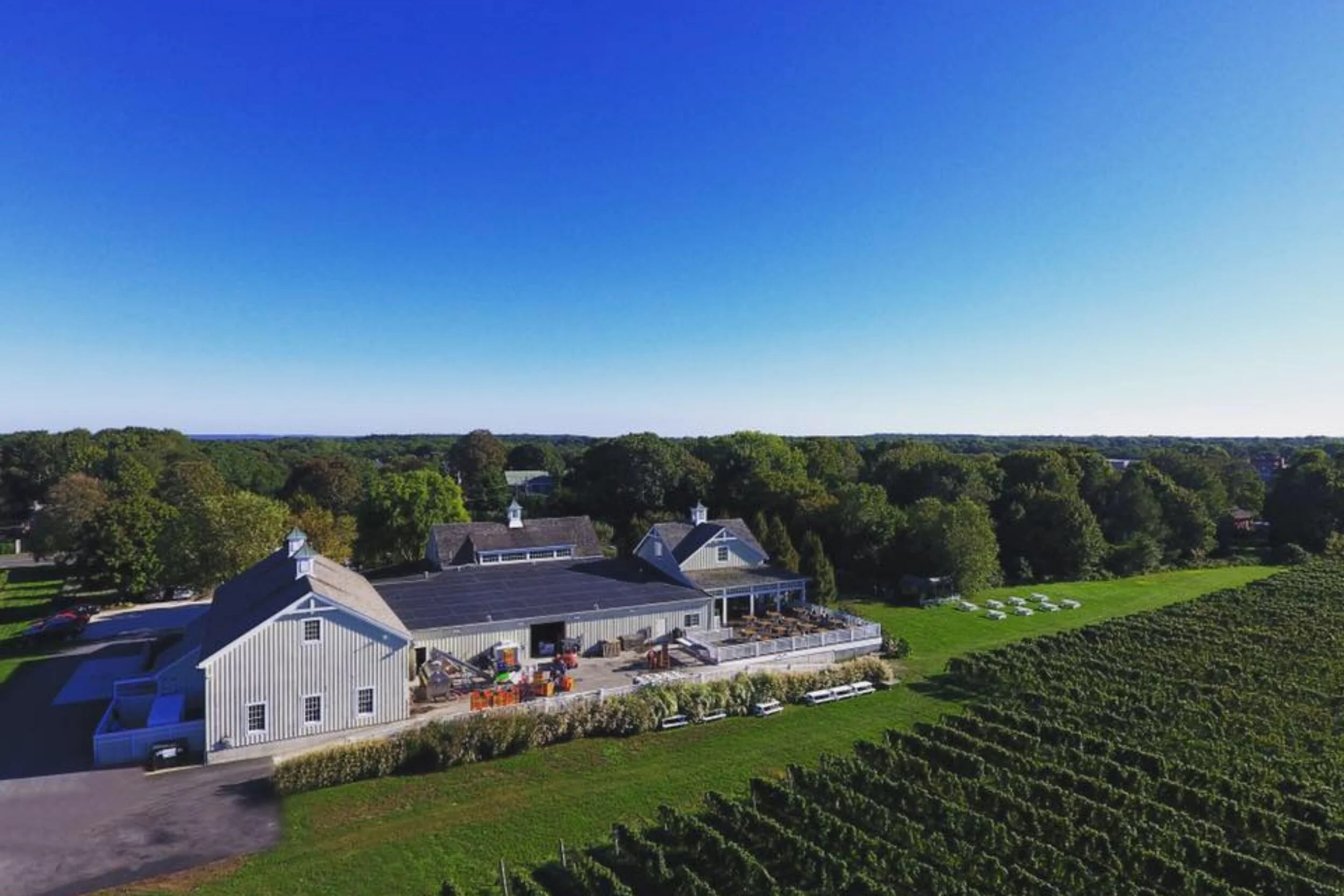   -Photo Credit:    Bedell Cellars   