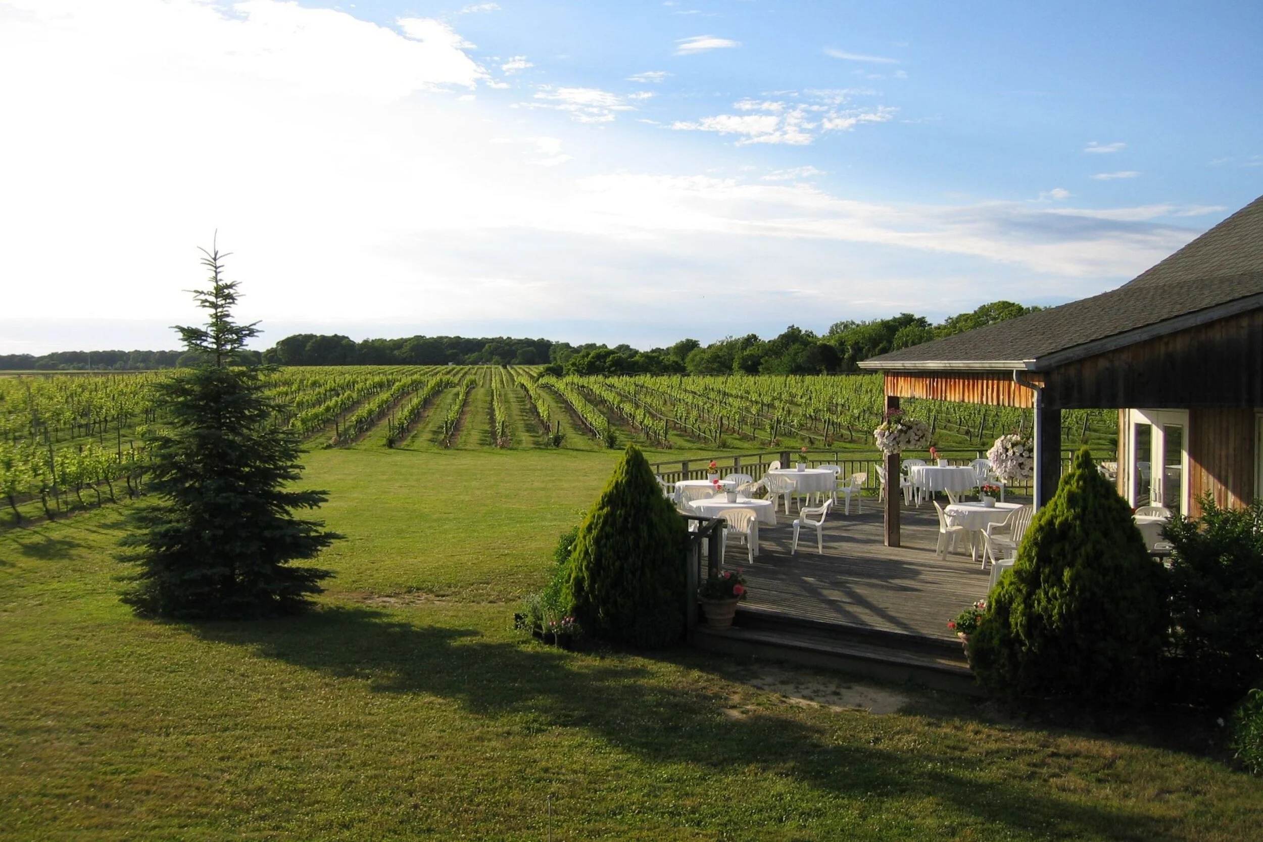   -Photo Credit:    Paumanok Vineyards   