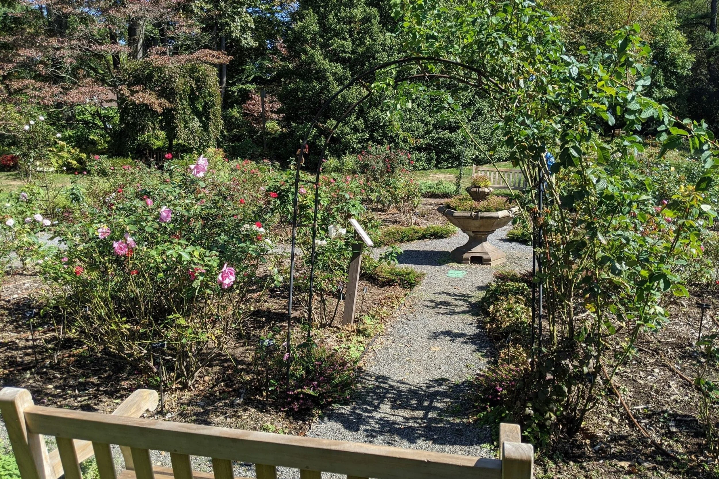   -Photo Credit:    Clark Botanic Gardens   