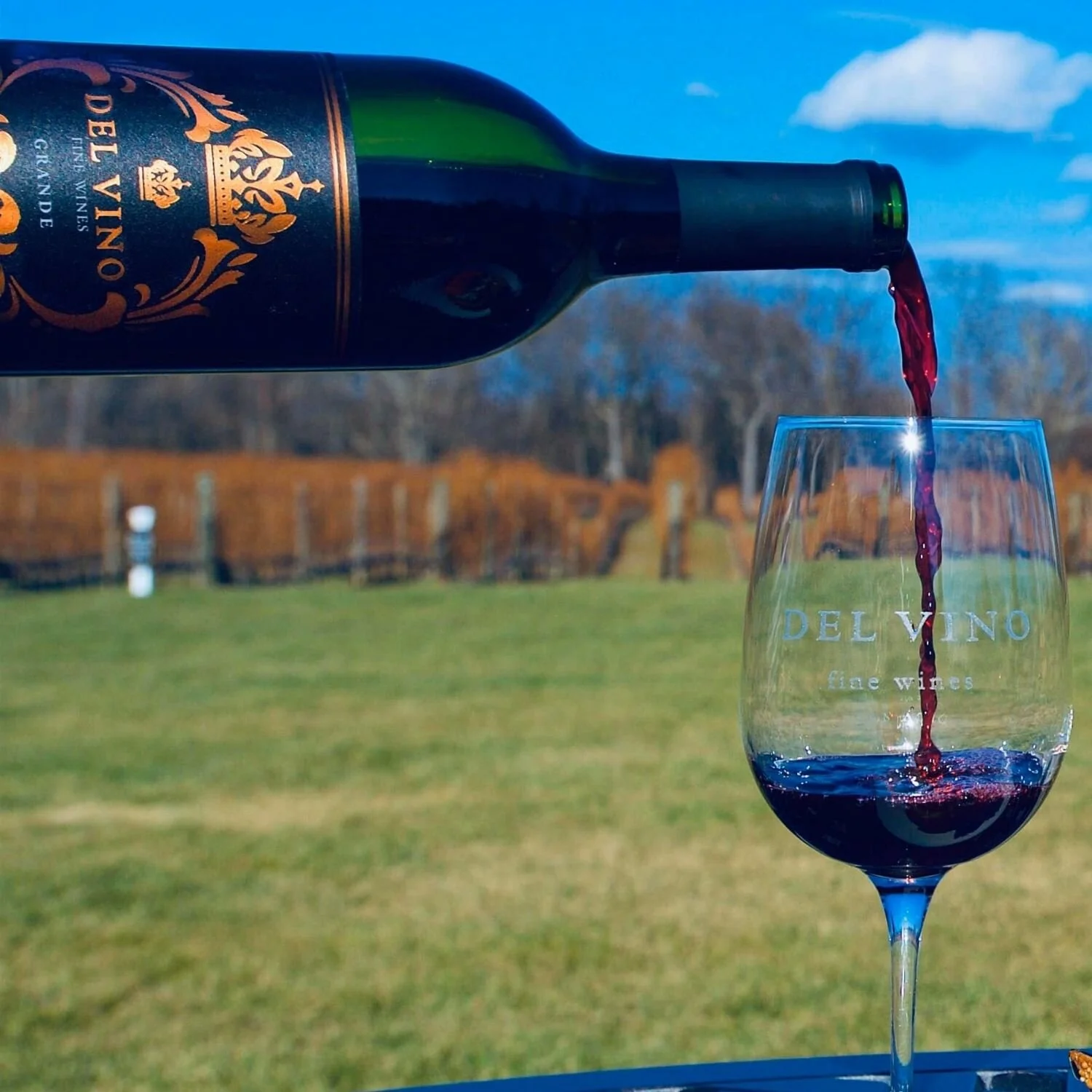   -Photo Credit:    Del Vino Vineyards   