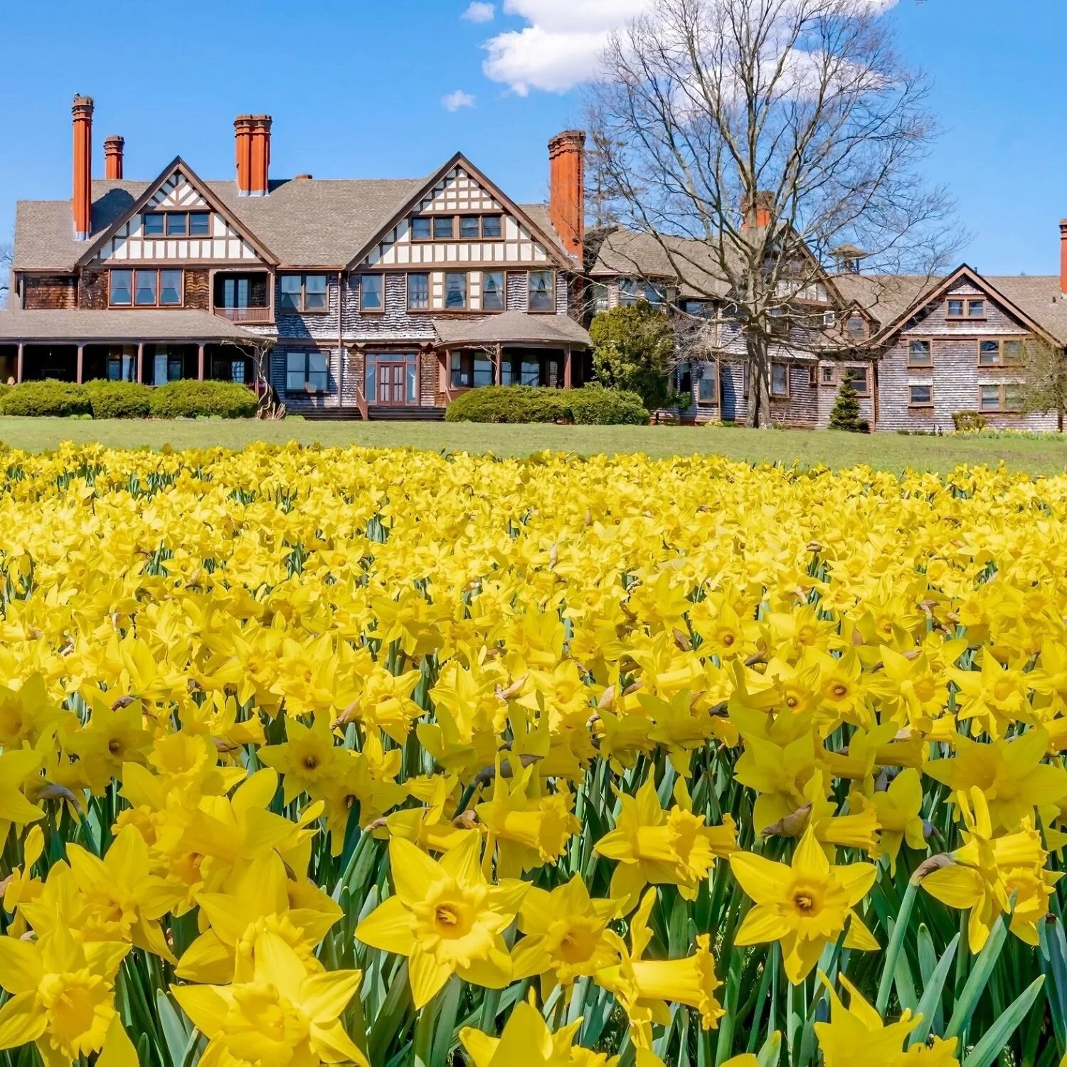   -Photo Credit:    Bayard Cutting Arboretum   