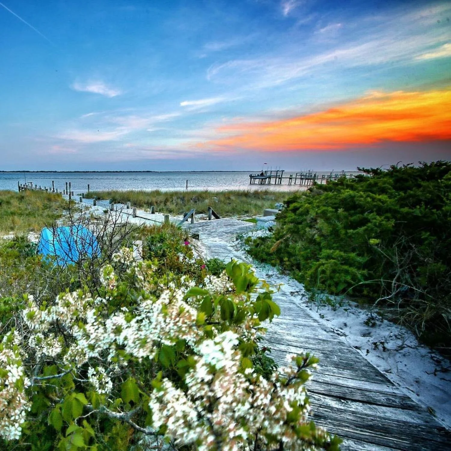   -Photo Credit:   Brooke Kalman Photography, Facebook  