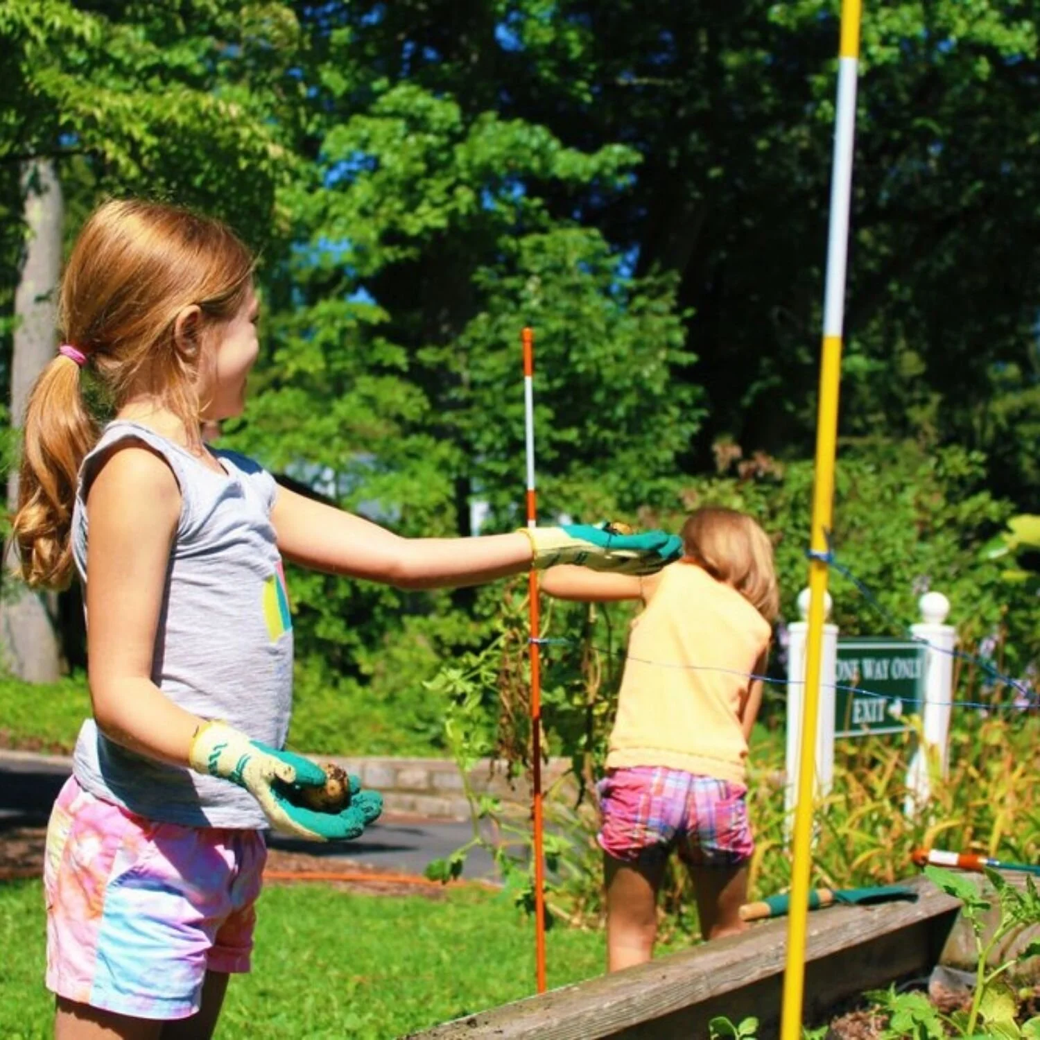   -Photo Credit:    Bailey Arboretum   